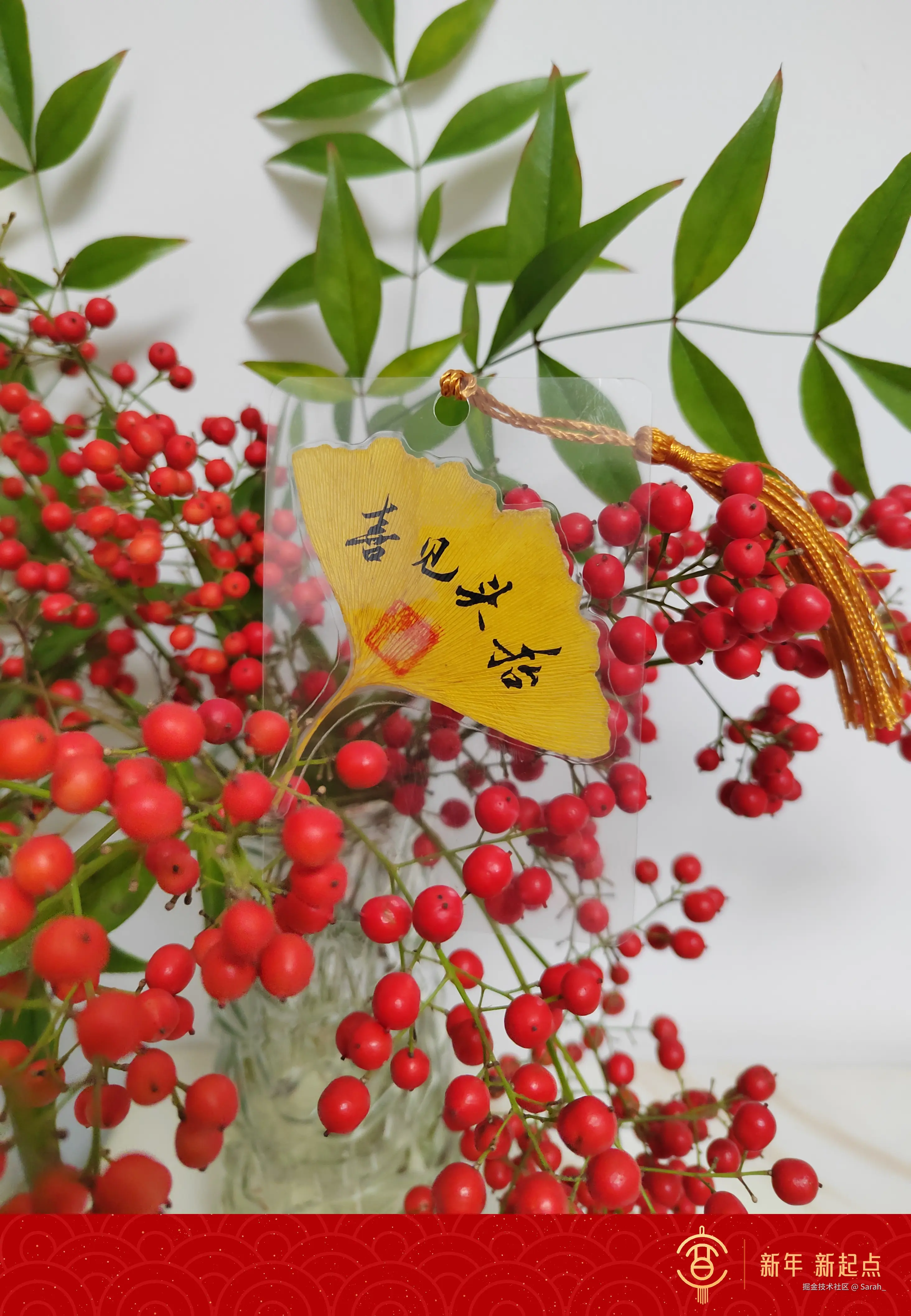 Sarah_于2024-12-31 14:44发布的图片