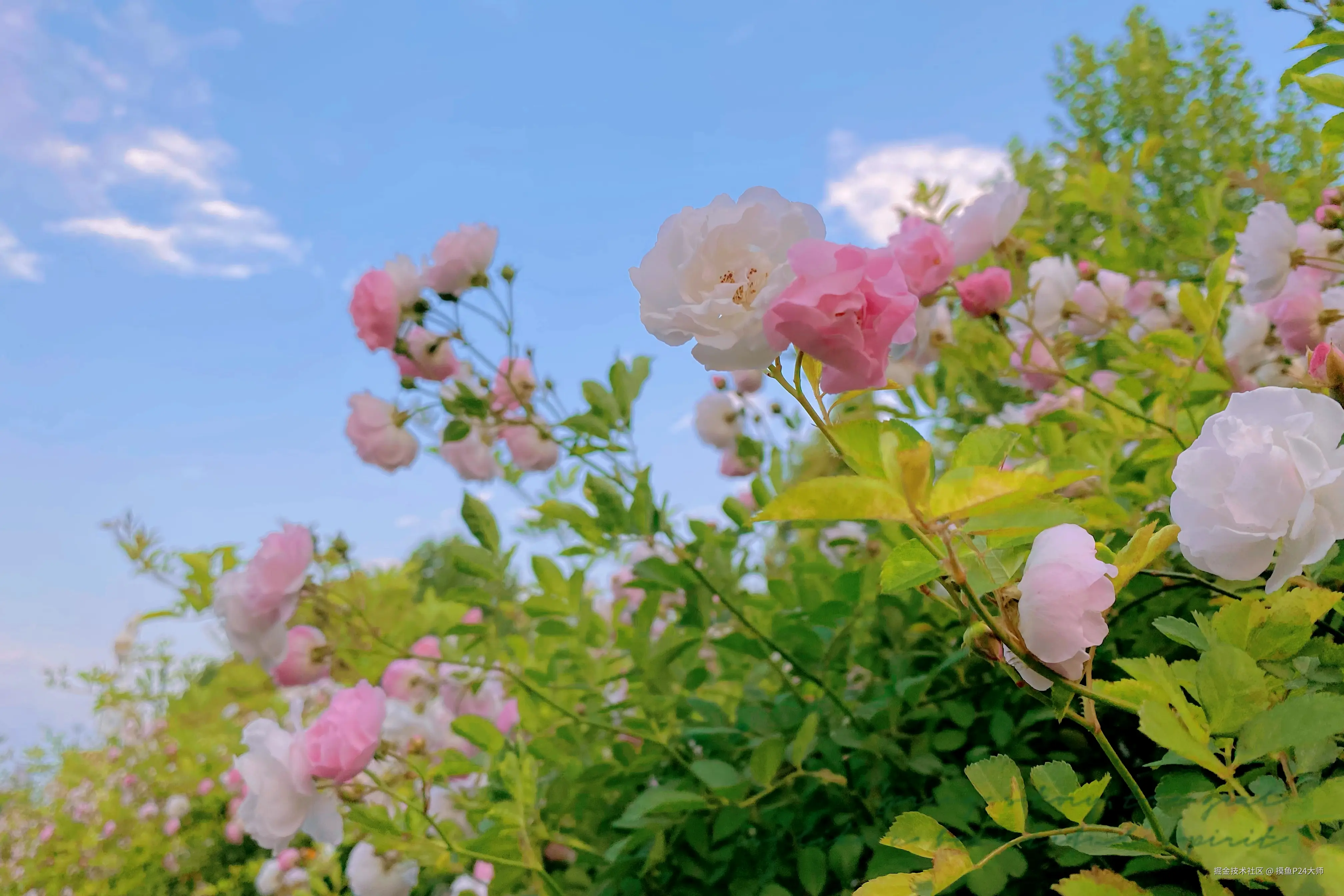 程序员的自我保护系列