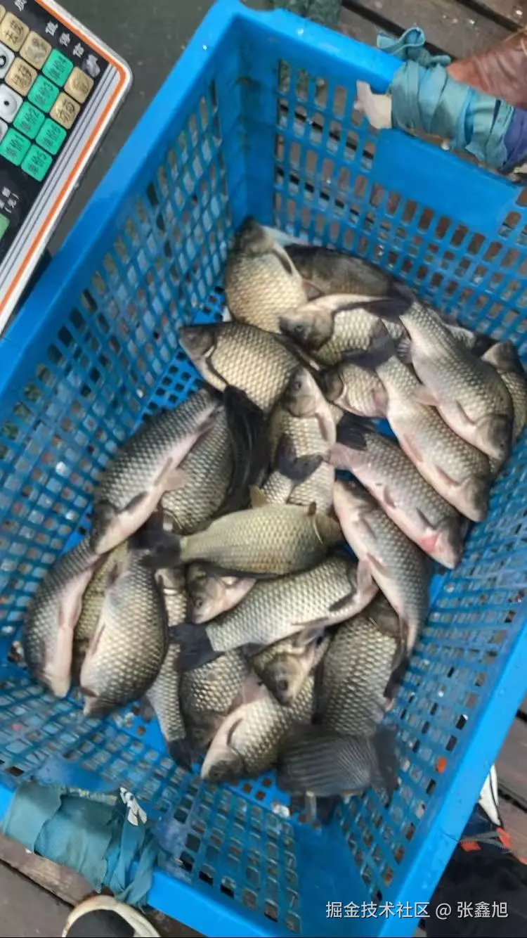 张鑫旭于2024-10-28 12:01发布的图片