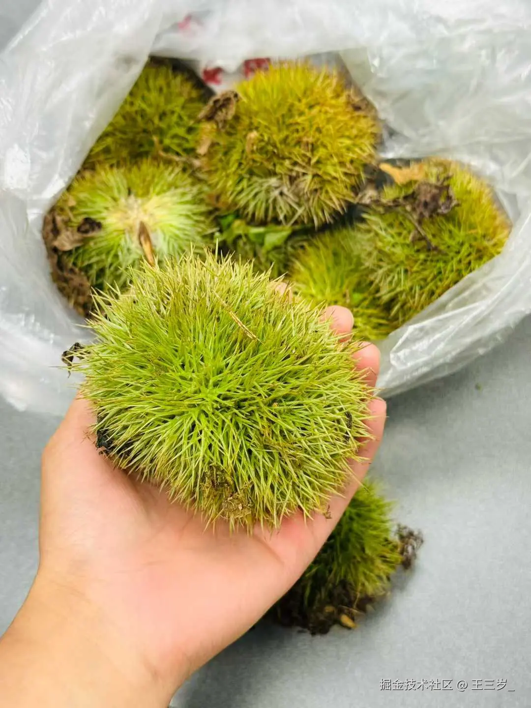 王三岁_于2025-08-28 11:29发布的图片