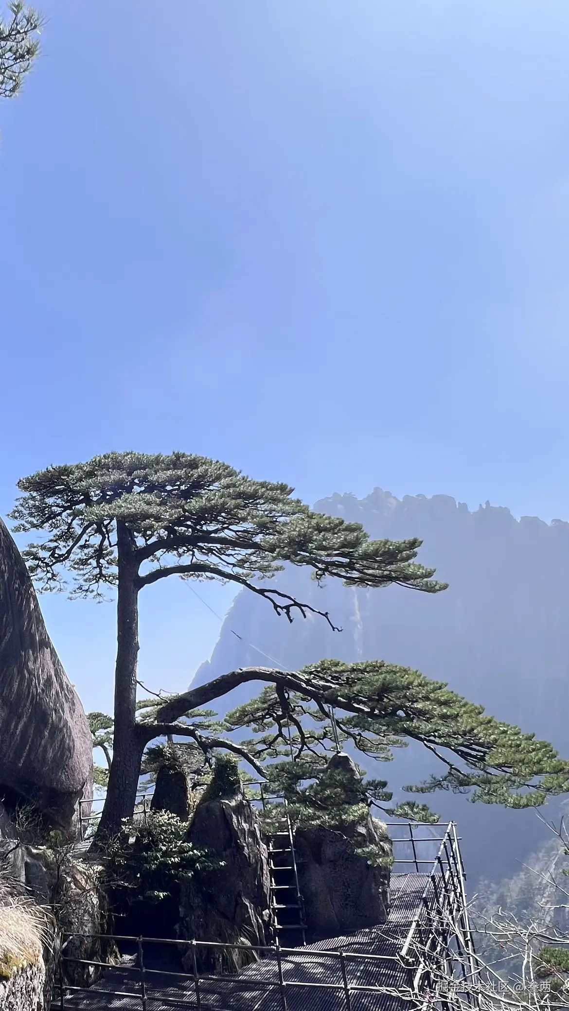 叁两于2026-03-09 09:55发布的图片