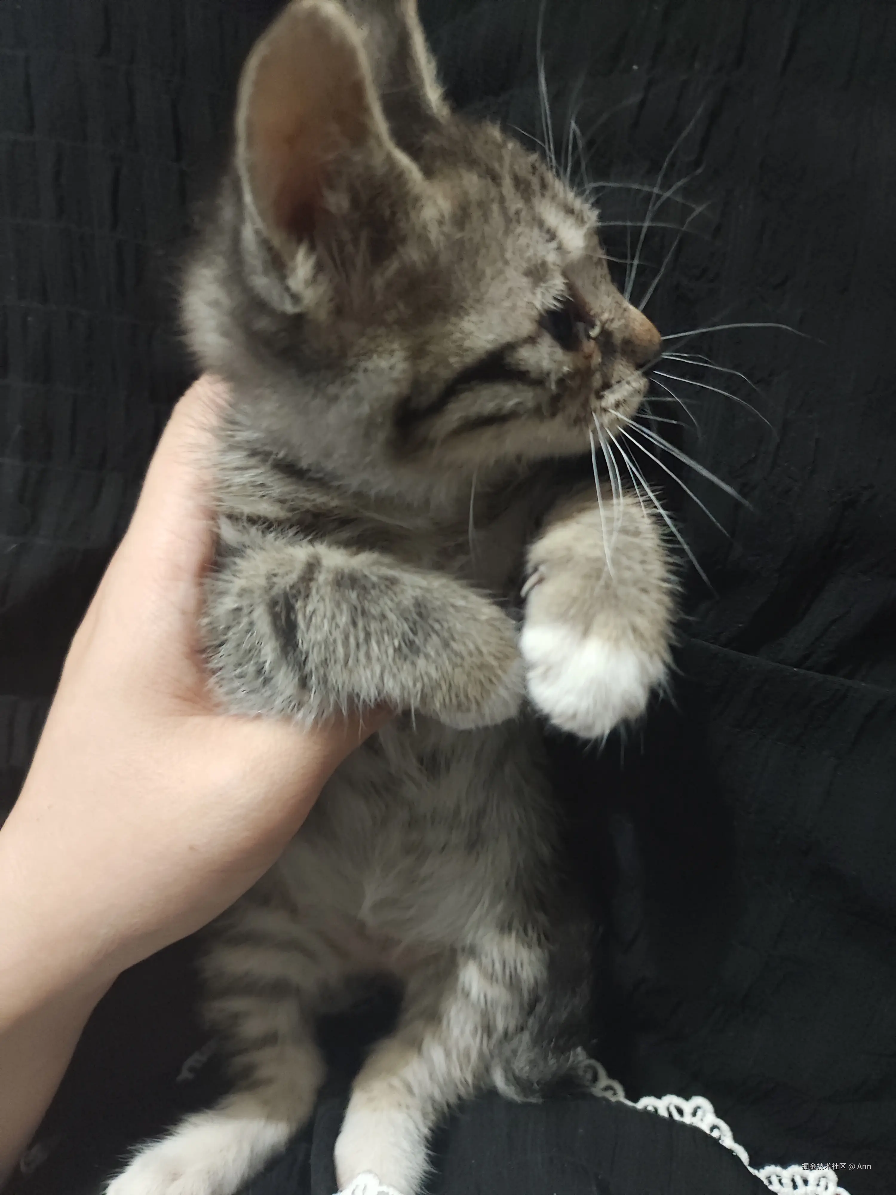 Ann于2024-08-23 11:22发布的图片