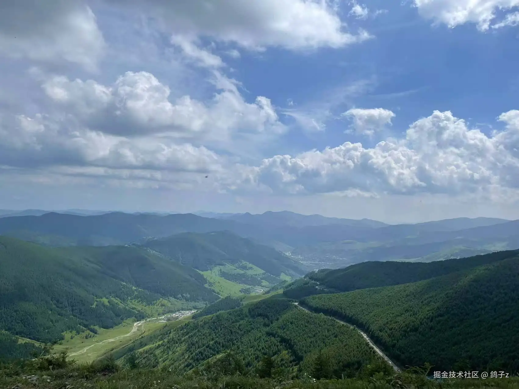 鸽子z于2025-07-14 14:20发布的图片