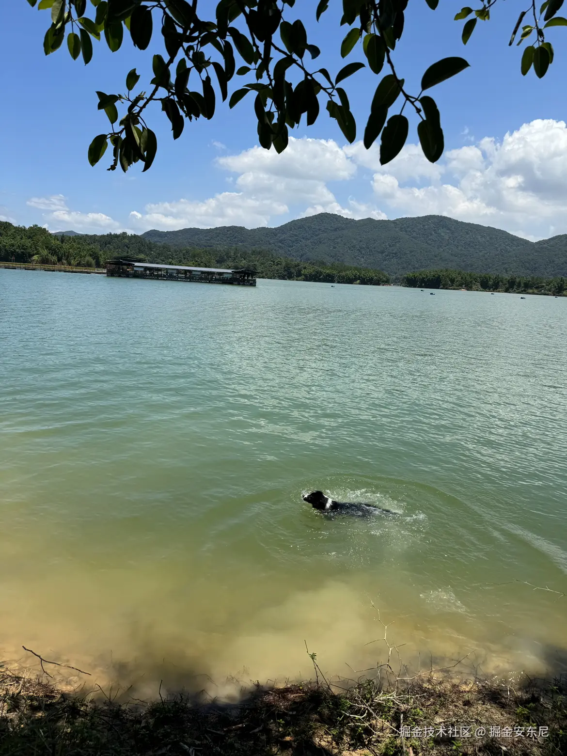 掘金安东尼于2024-08-03 21:01发布的图片