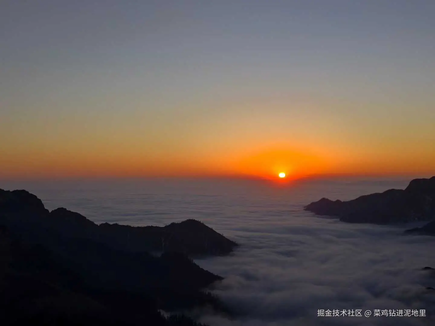 菜鸡钻进泥地里于2026-01-26 02:20发布的图片