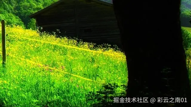 彩云之南01于2025-05-13 15:53发布的图片