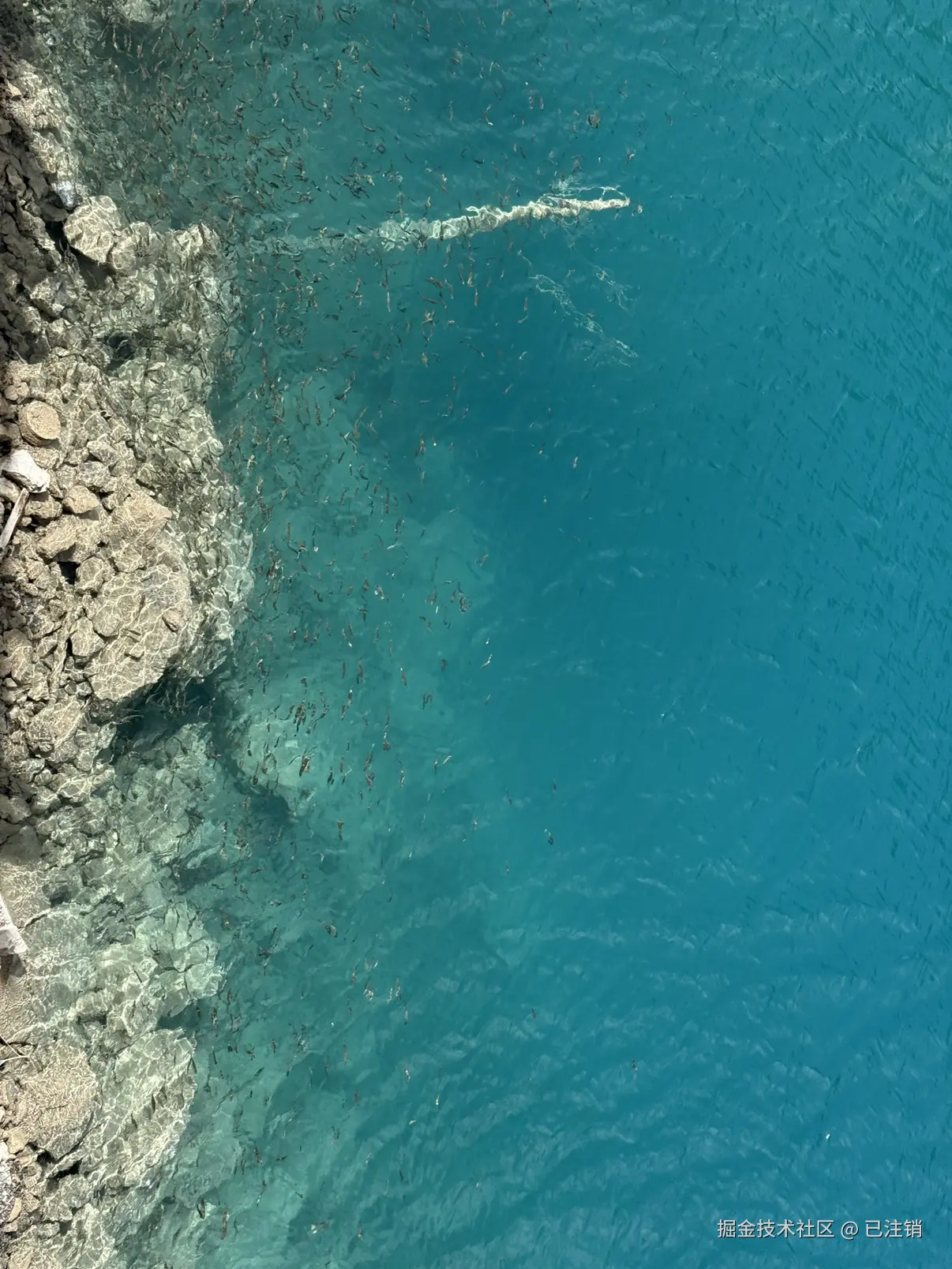 已注销于2025-04-07 04:36发布的图片