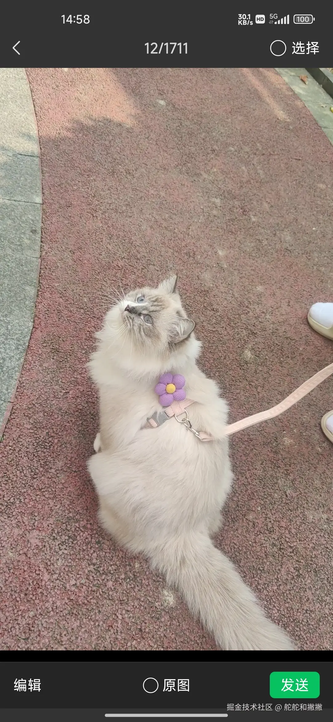 舵舵和撇撇于2026-03-10 10:26发布的图片