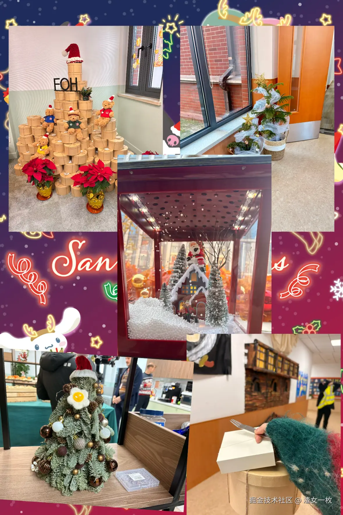 渣女一枚于2024-12-23 15:29发布的图片