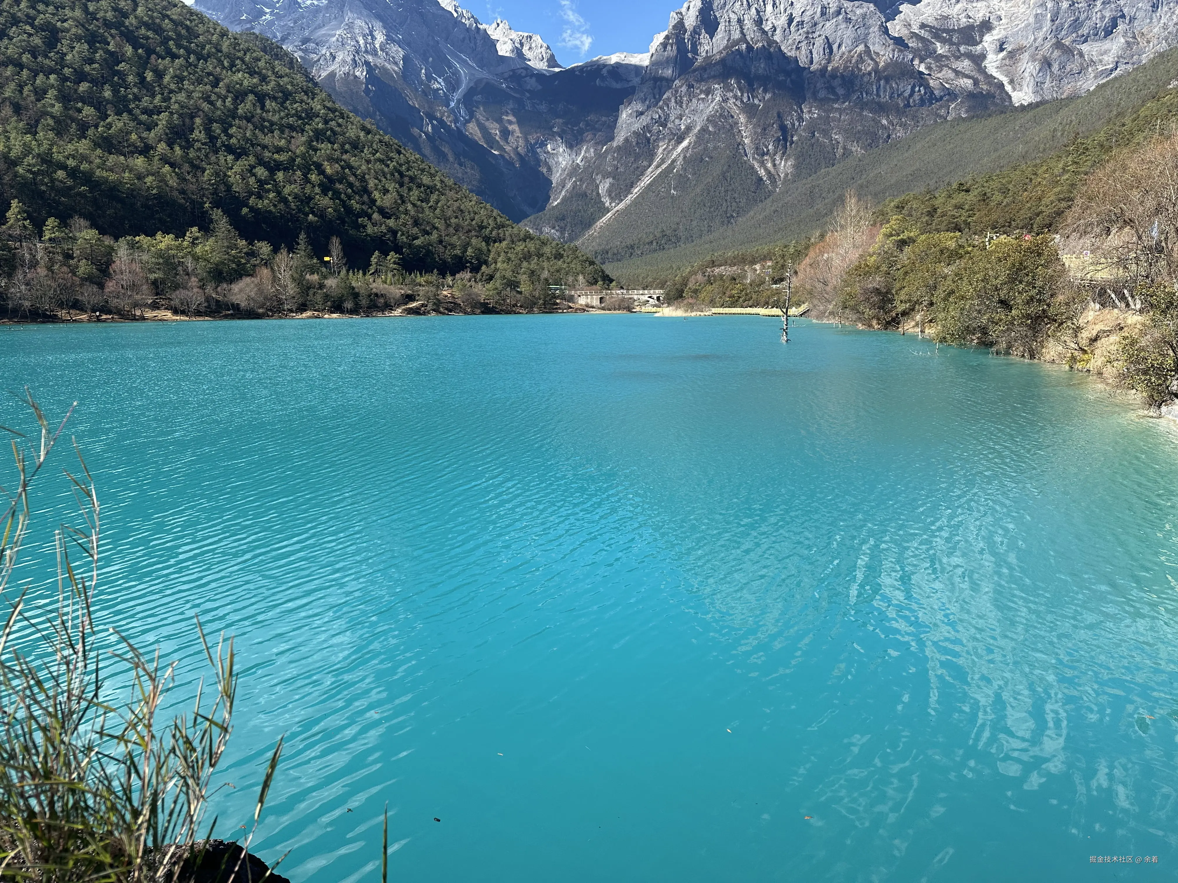 余着于2025-01-02 10:05发布的图片