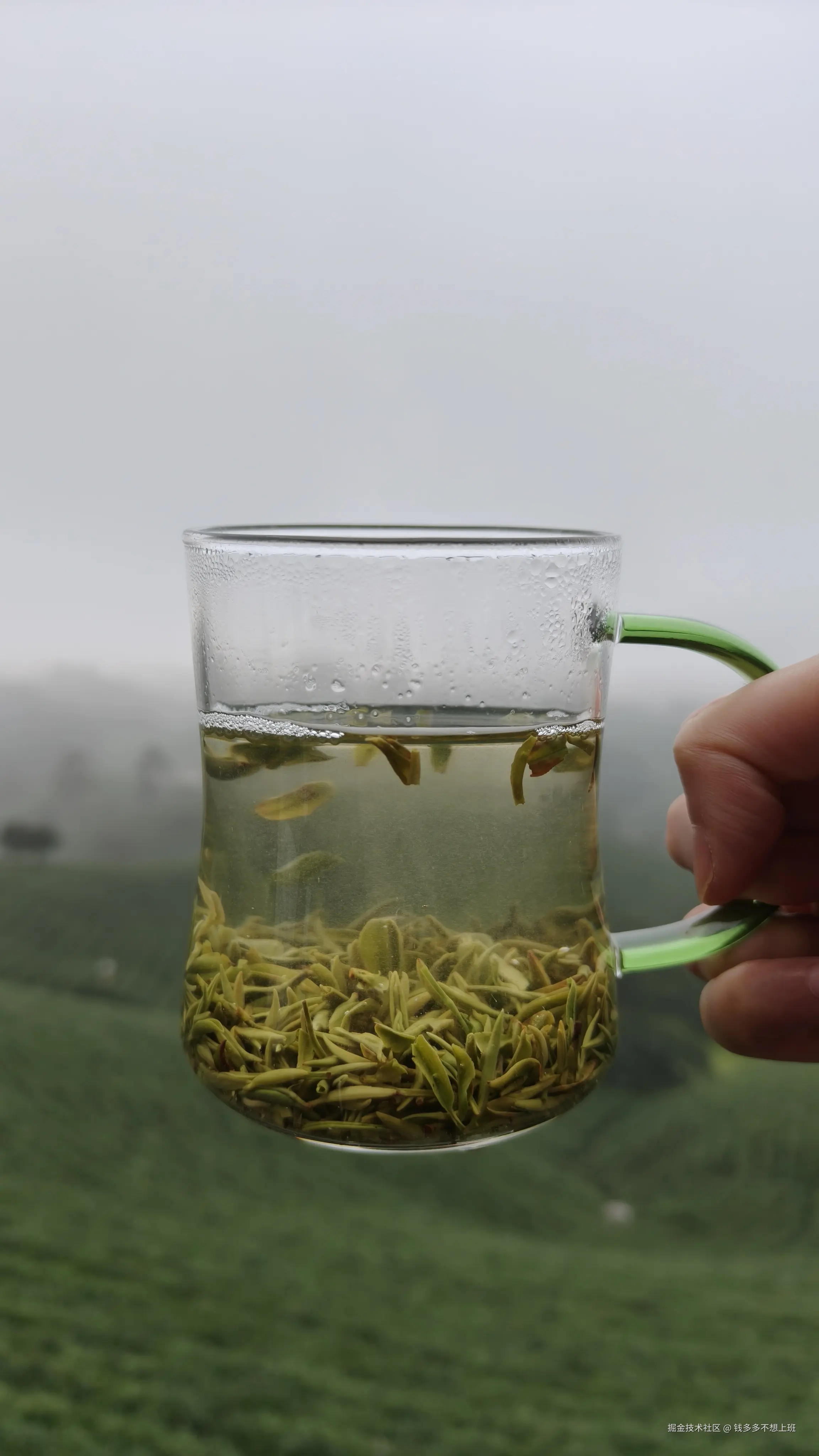 钱多多不想上班于2025-10-14 13:57发布的图片