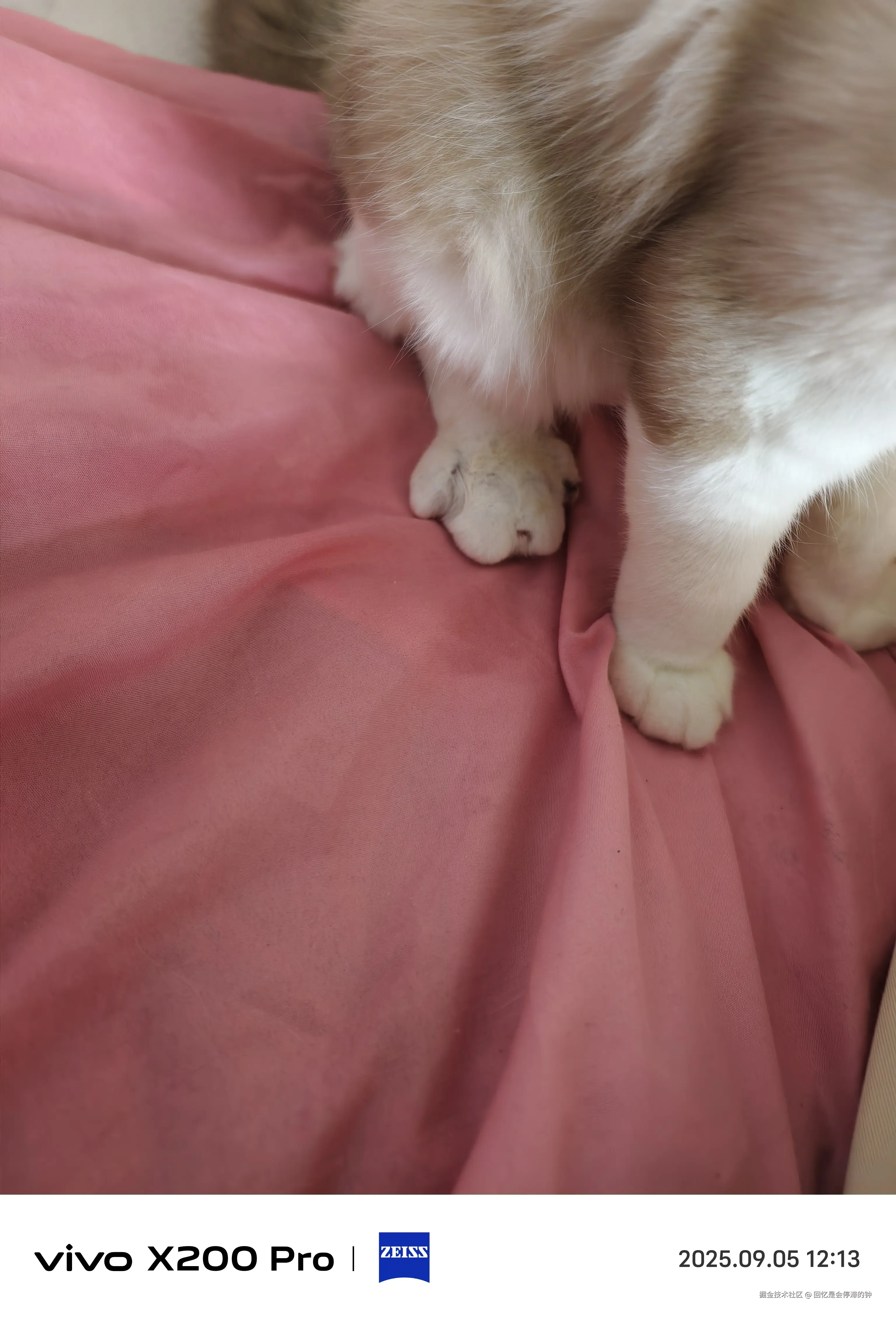 回忆是会停滞的钟于2025-09-05 13:28发布的图片