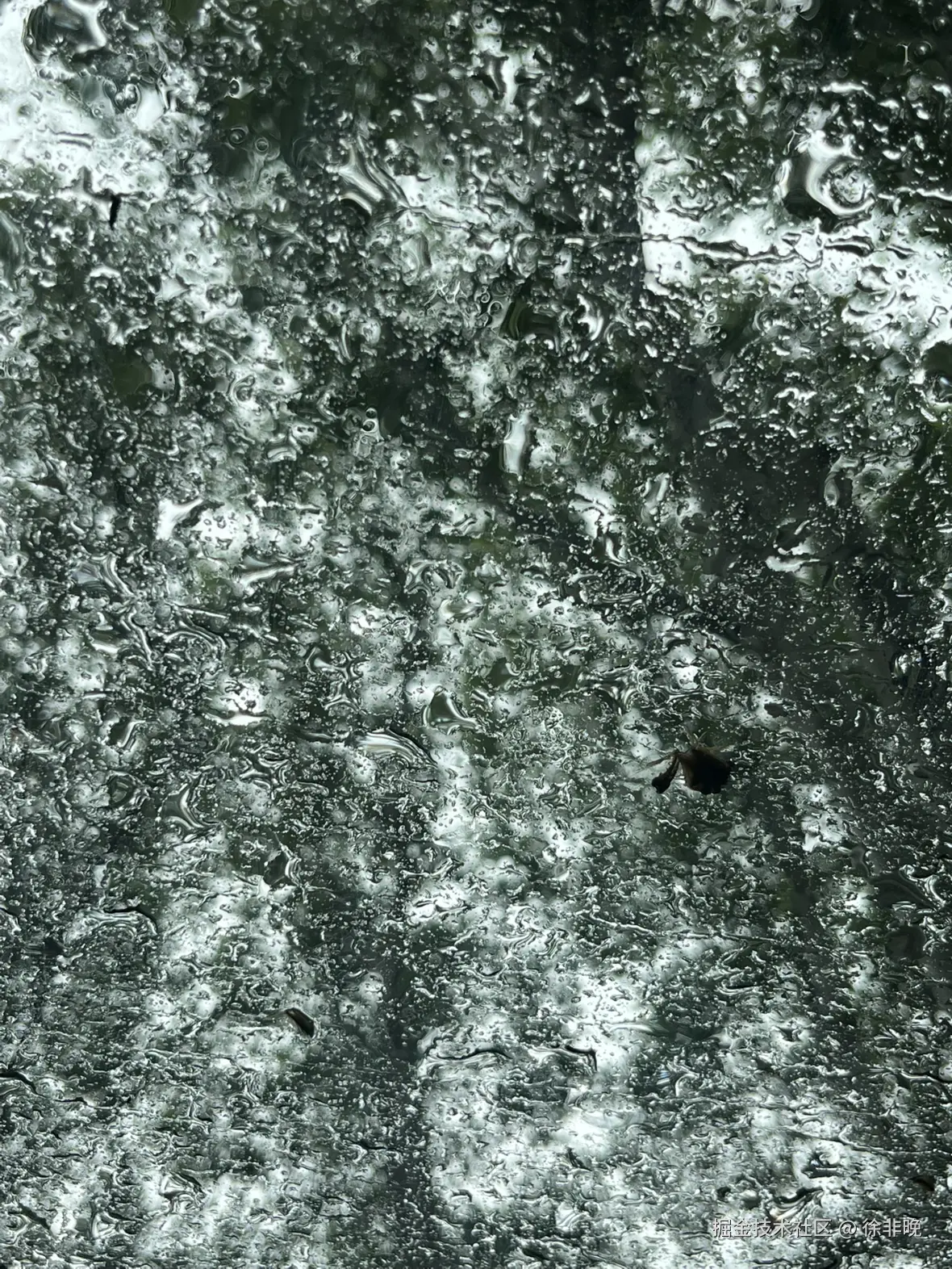 徐非晚于2025-05-27 11:15发布的图片