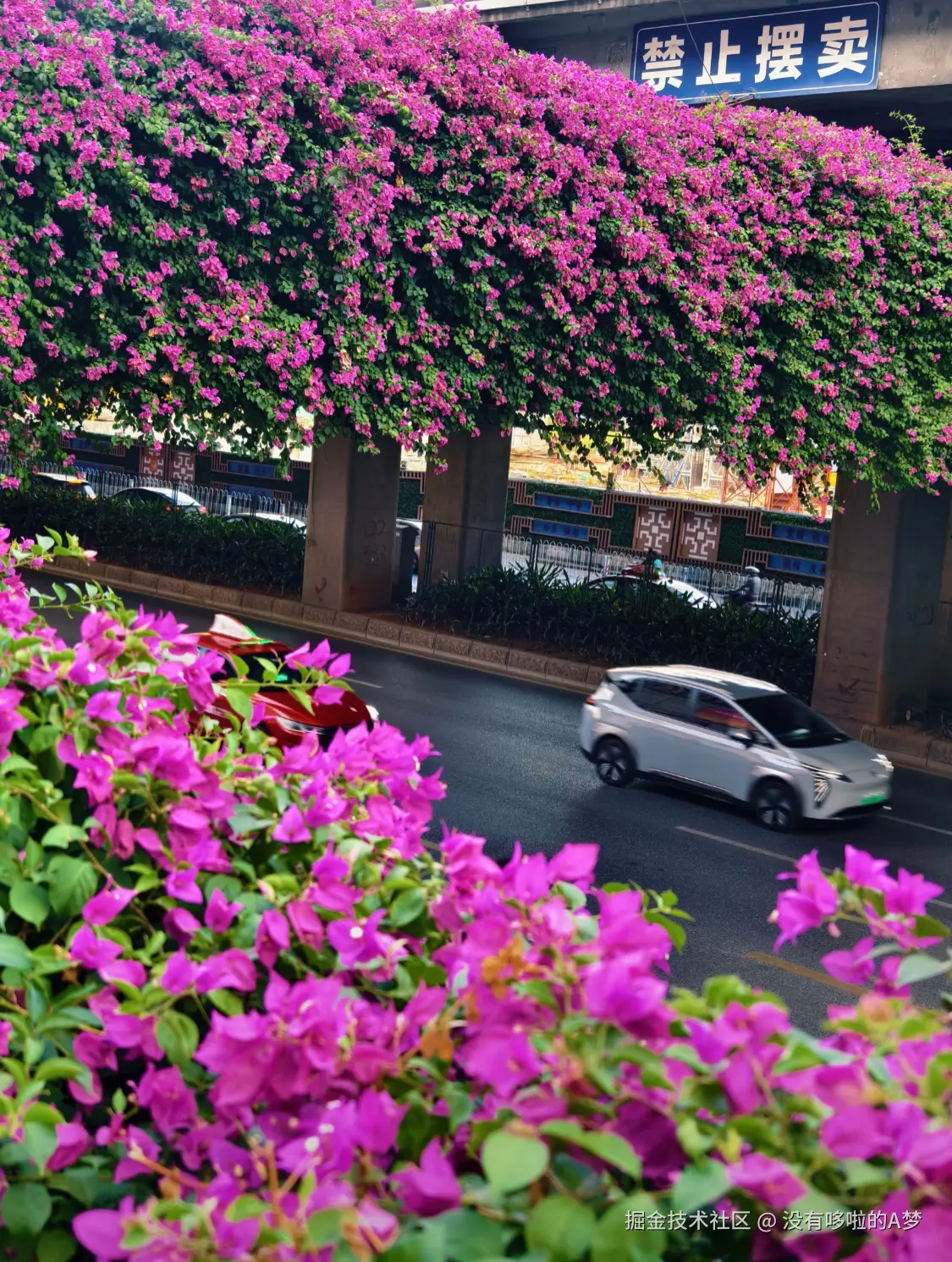 没有哆啦的A梦于2024-12-17 03:13发布的图片