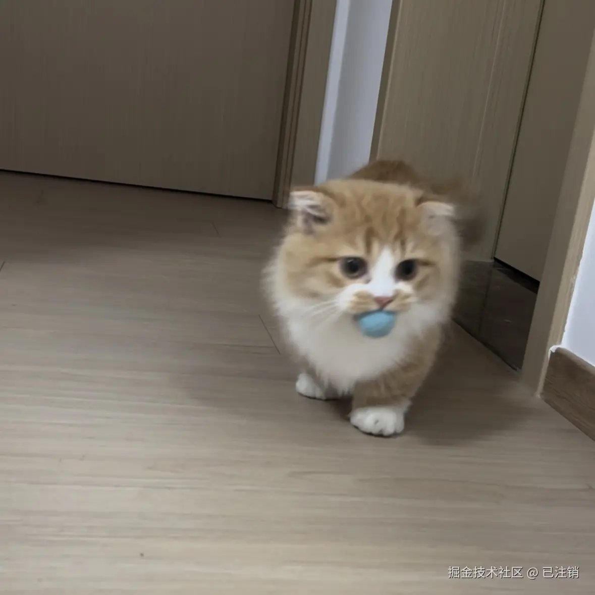 已注销于2024-11-07 01:59发布的图片