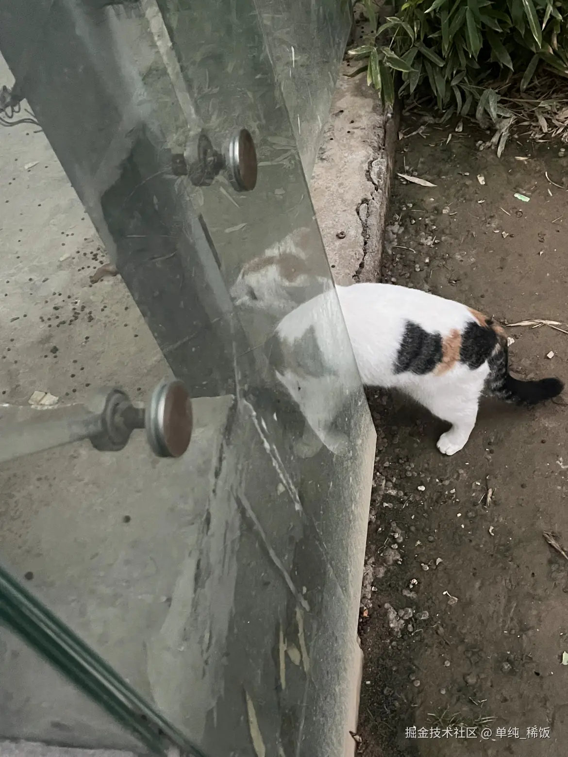 单纯_稀饭于2025-10-28 16:29发布的图片