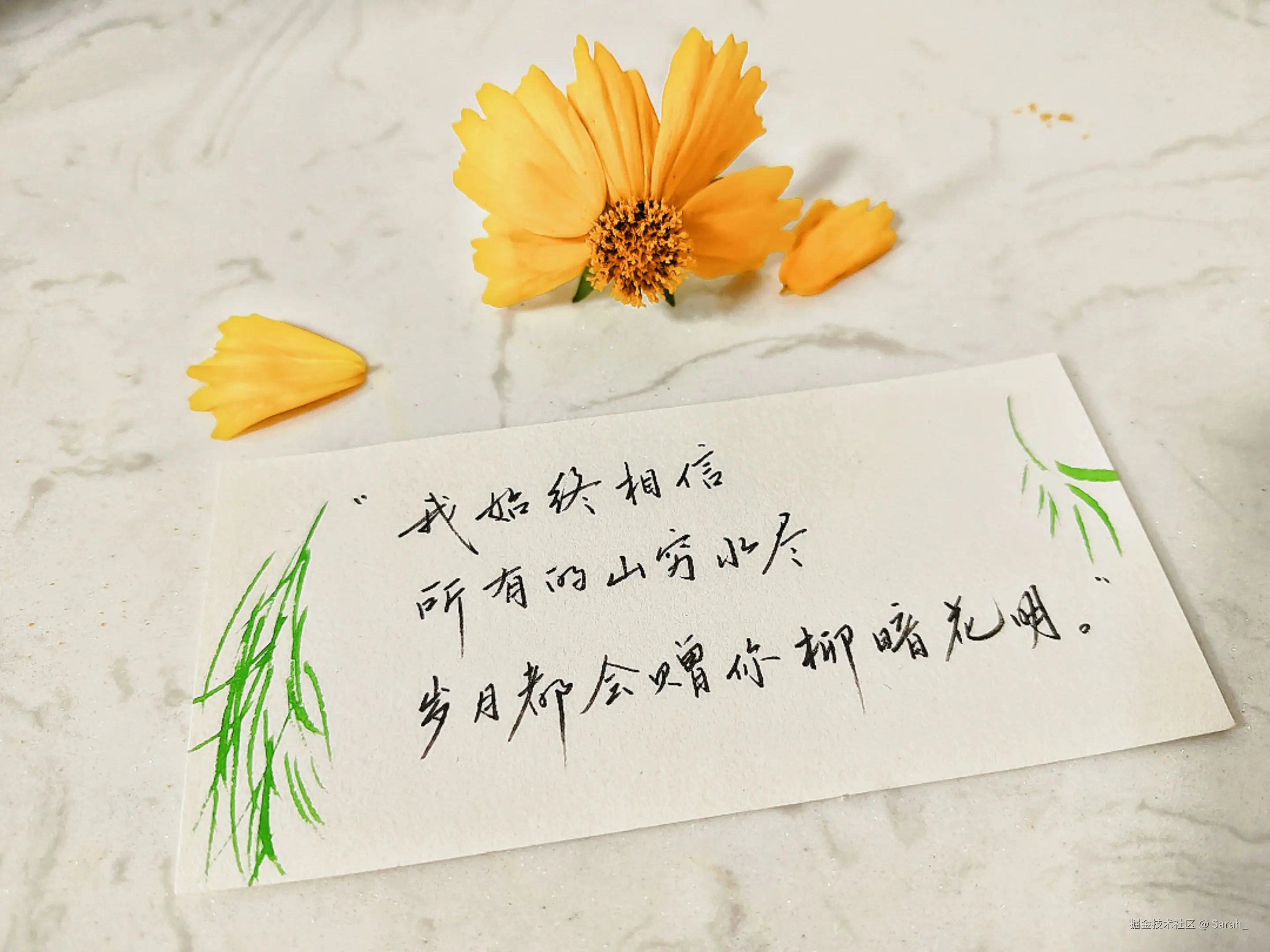 Sarah_于2025-05-28 08:33发布的图片