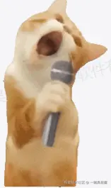 一碗臭屁酱于2024-08-30 16:08发布的图片