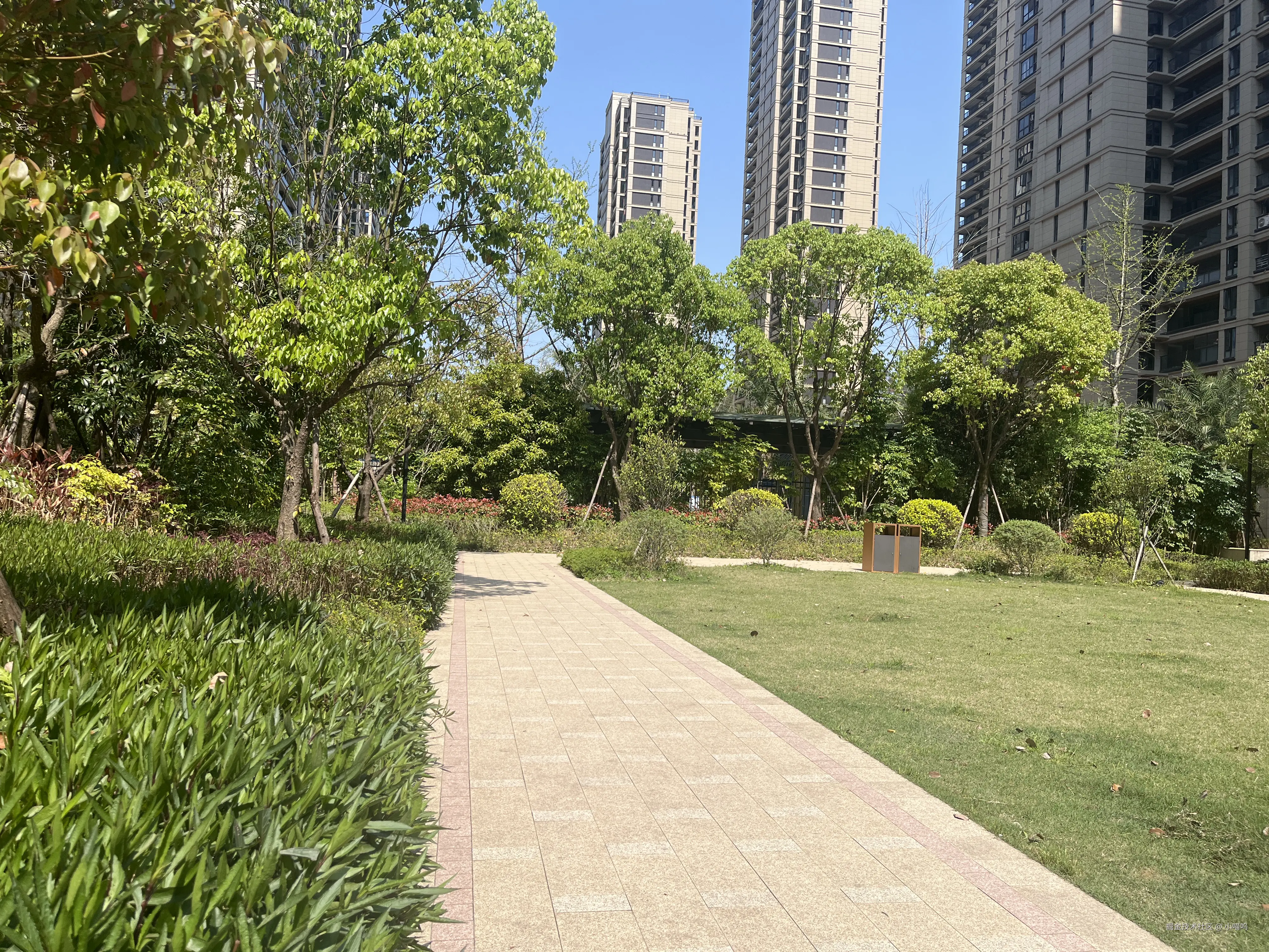 小喵呜于2025-04-07 14:01发布的图片