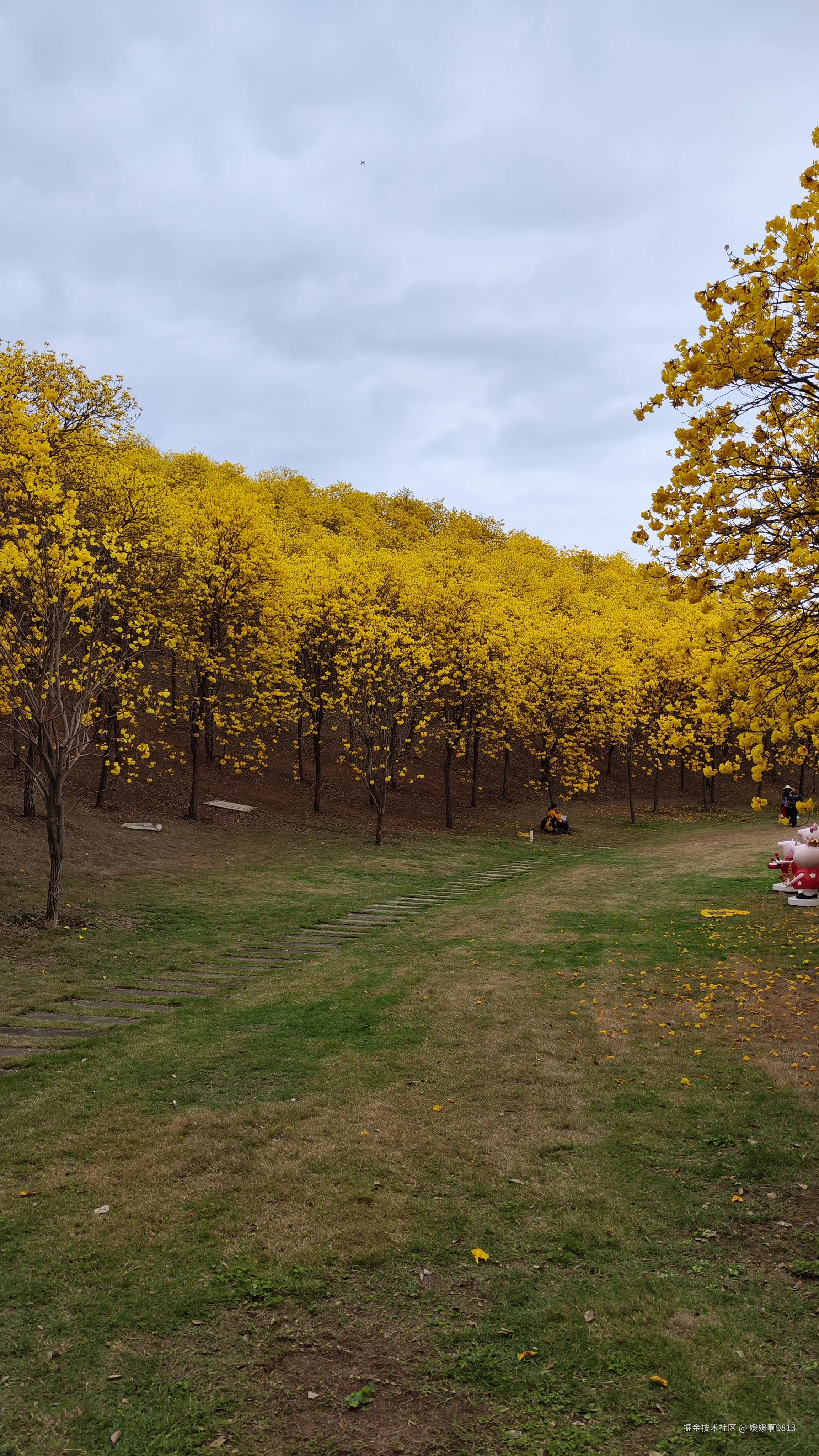 媛媛啊9813于2025-03-16 04:30发布的图片