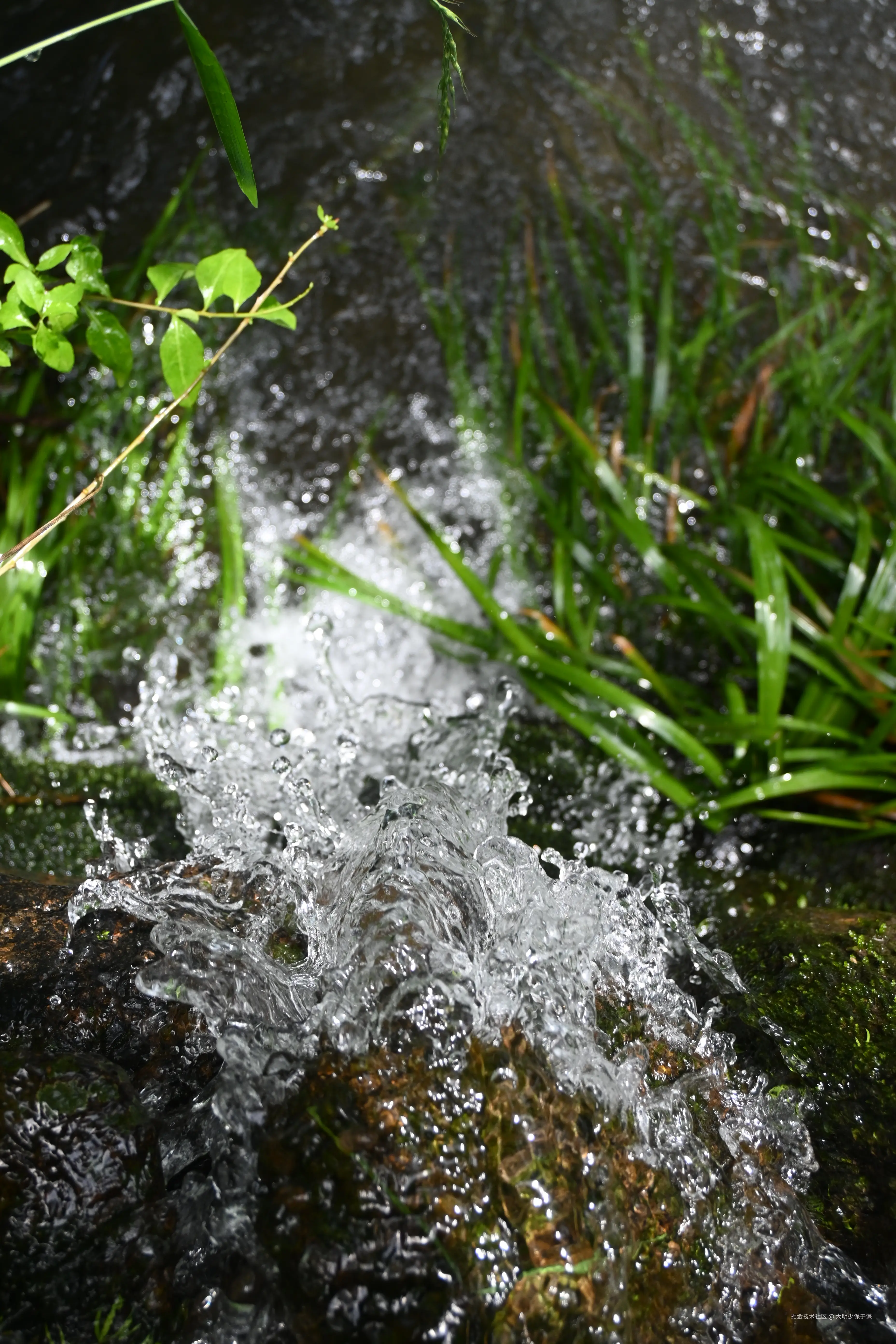 大明少保于谦于2025-07-02 11:33发布的图片