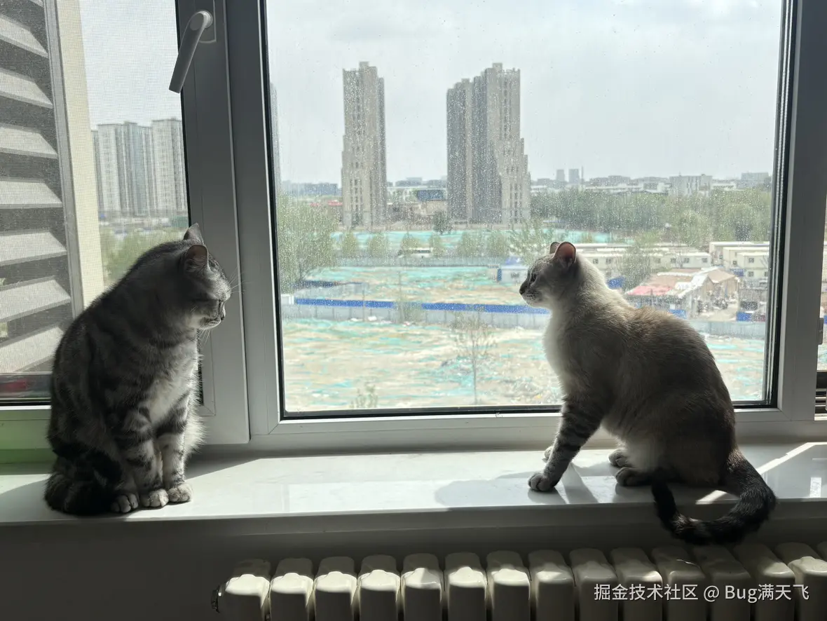 Bug满天飞于2025-04-16 06:35发布的图片