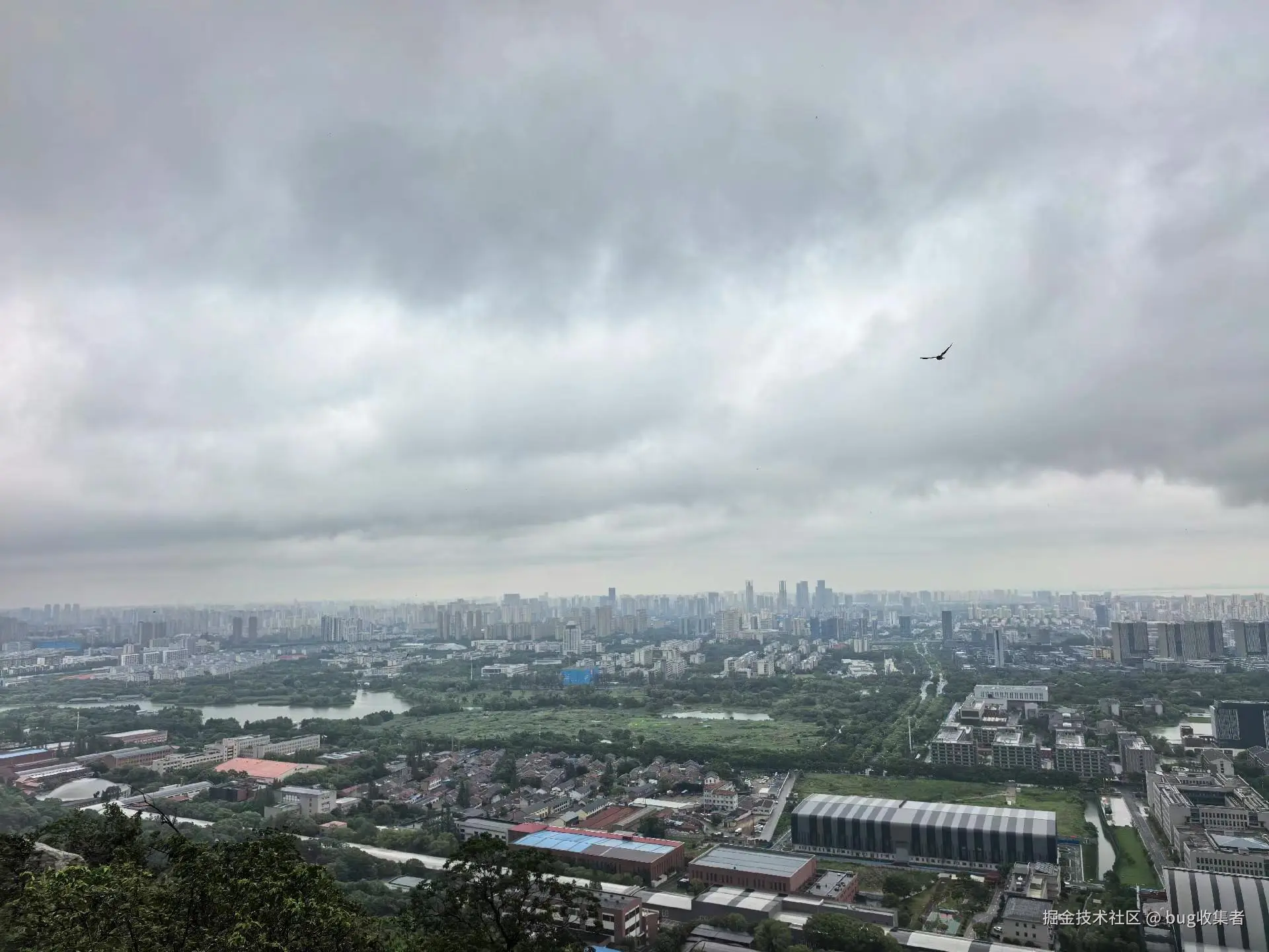 bug收集者于2025-06-23 09:04发布的图片