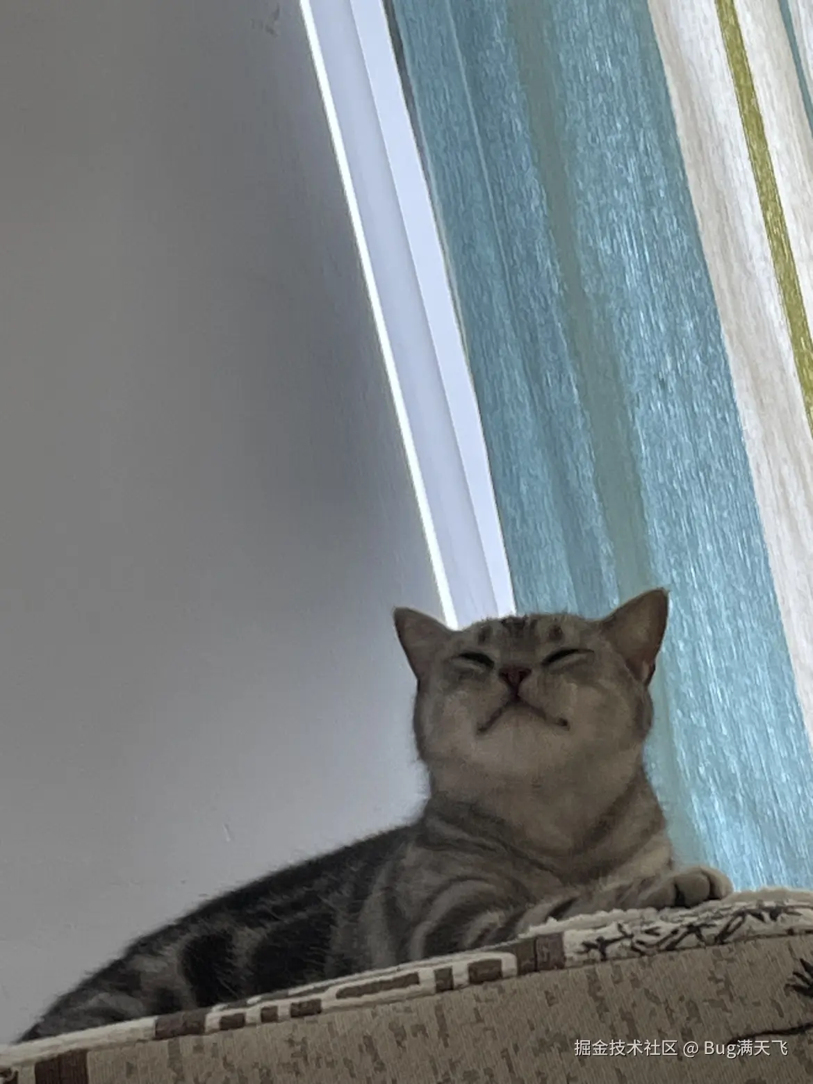 Bug满天飞于2024-10-09 16:13发布的图片