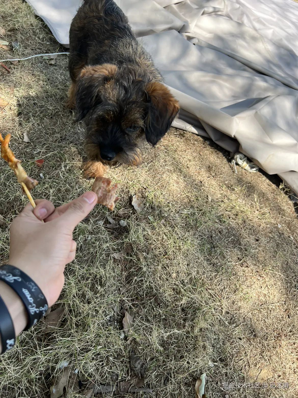 已注销于2025-03-21 16:21发布的图片