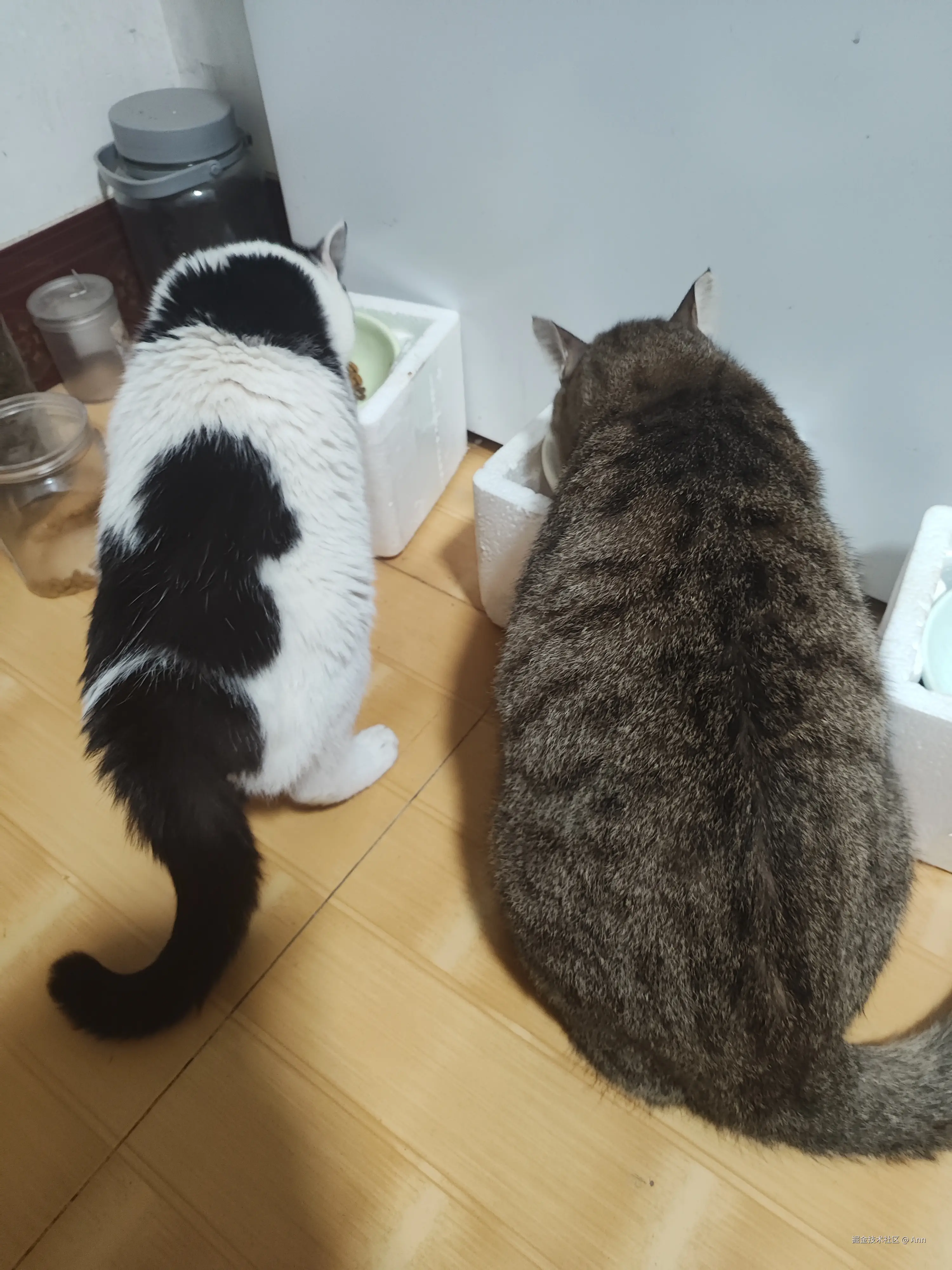 Ann于2024-10-09 10:43发布的图片