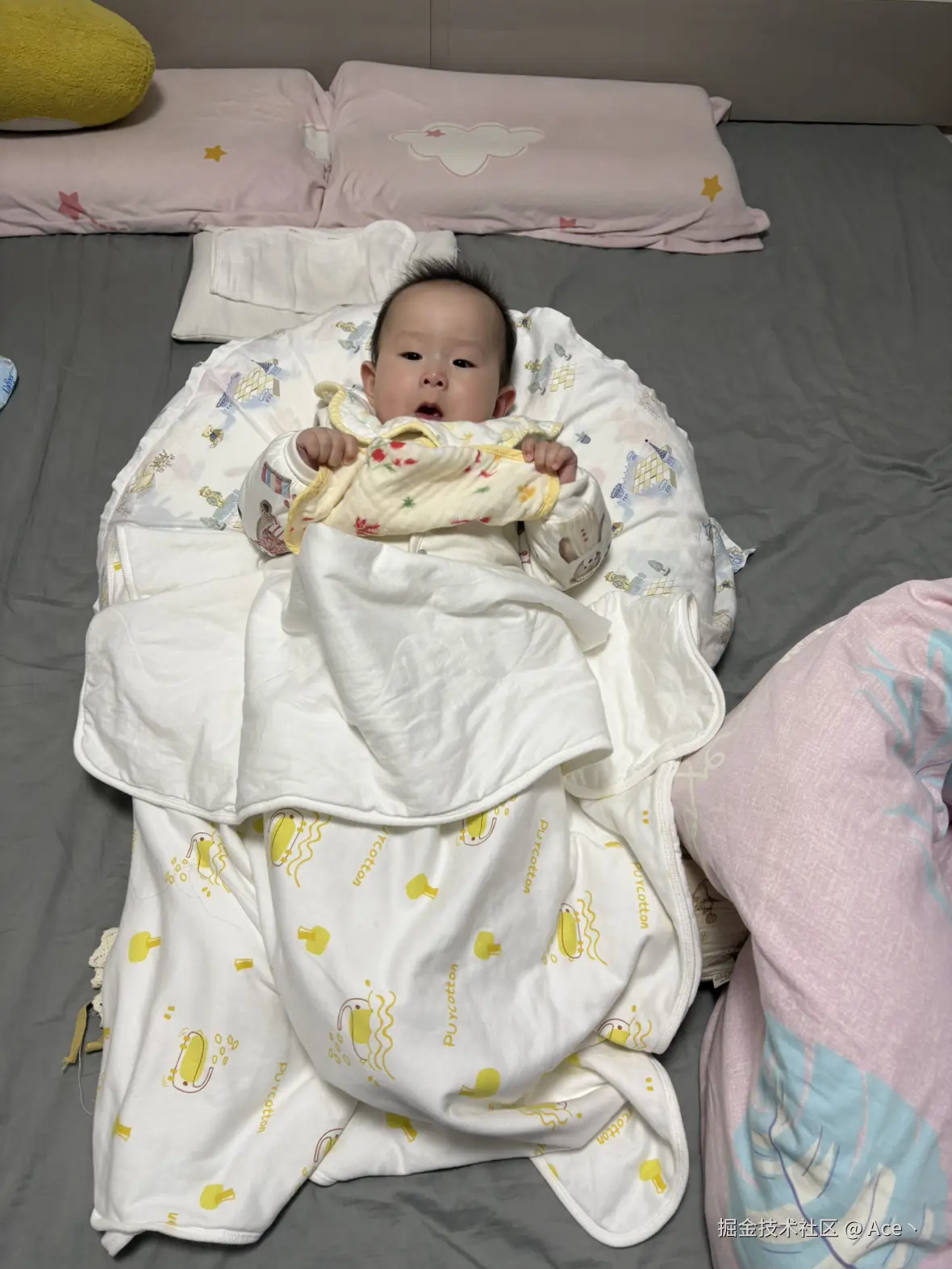 Ace丶于2026-01-28 13:32发布的图片