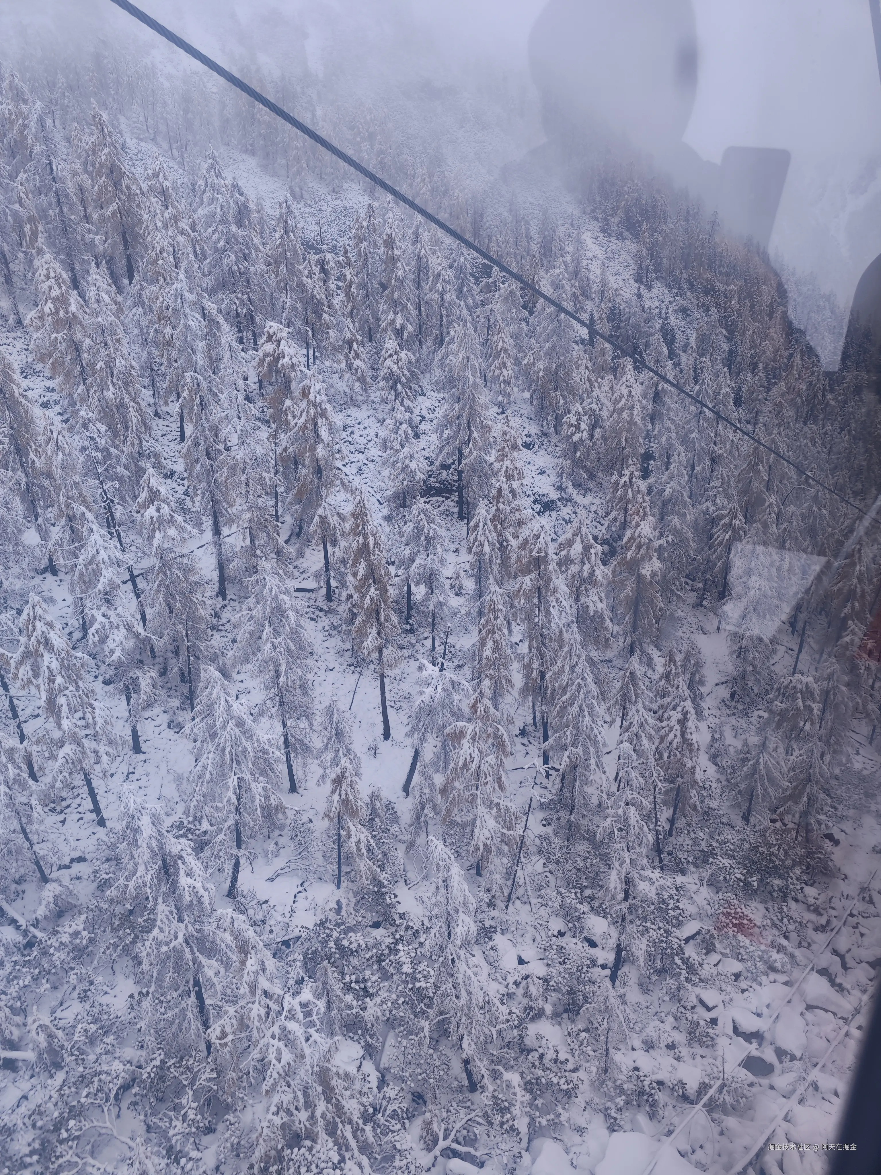 阿天在掘金于2024-11-07 02:39发布的图片