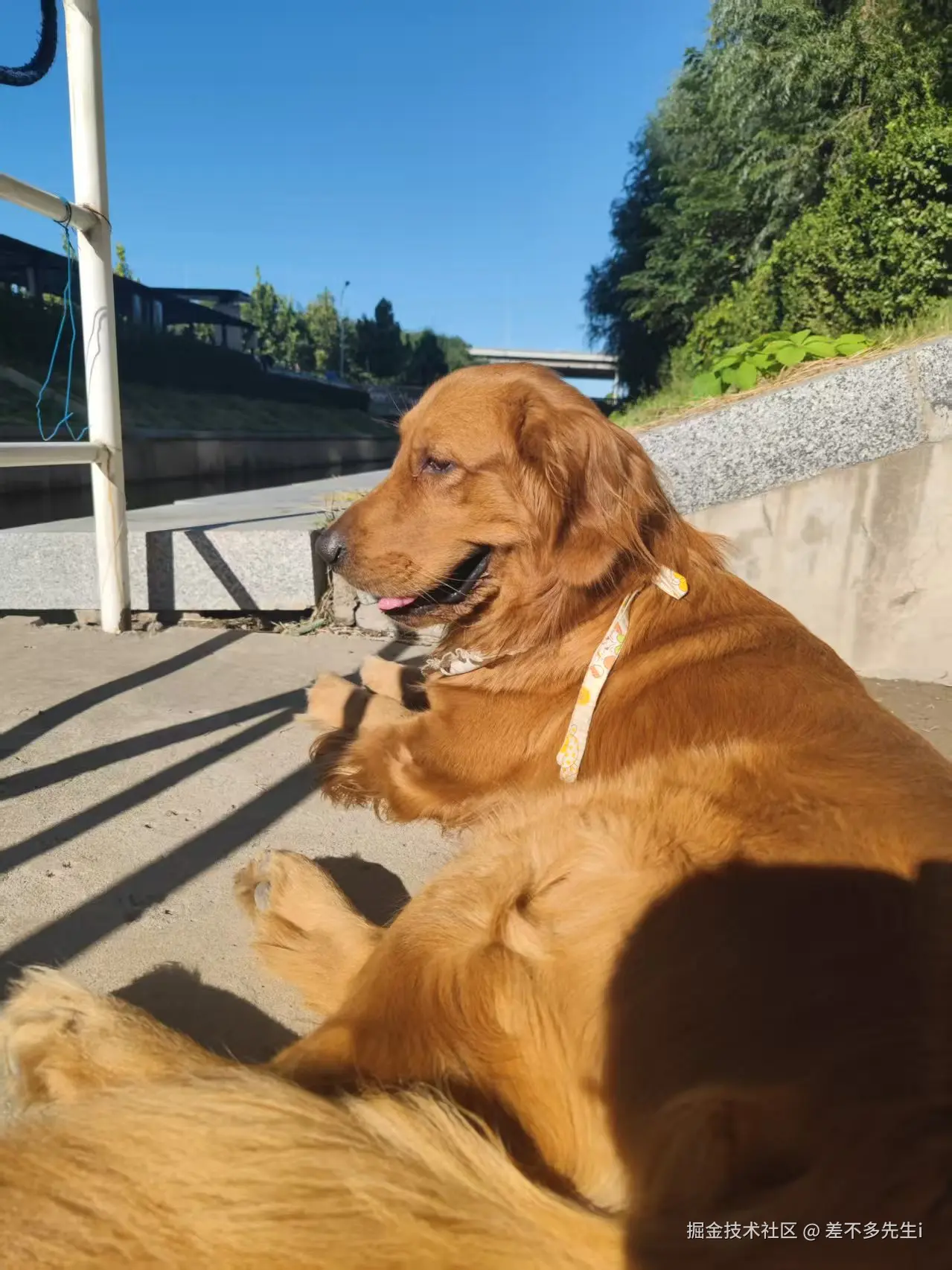 差不多先生i于2026-01-14 18:05发布的图片