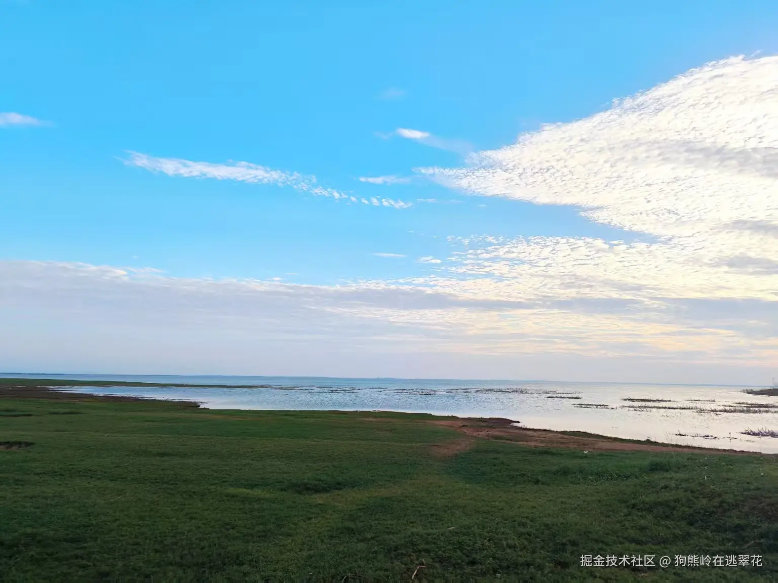 狗熊岭在逃翠花于2025-04-07 15:21发布的图片