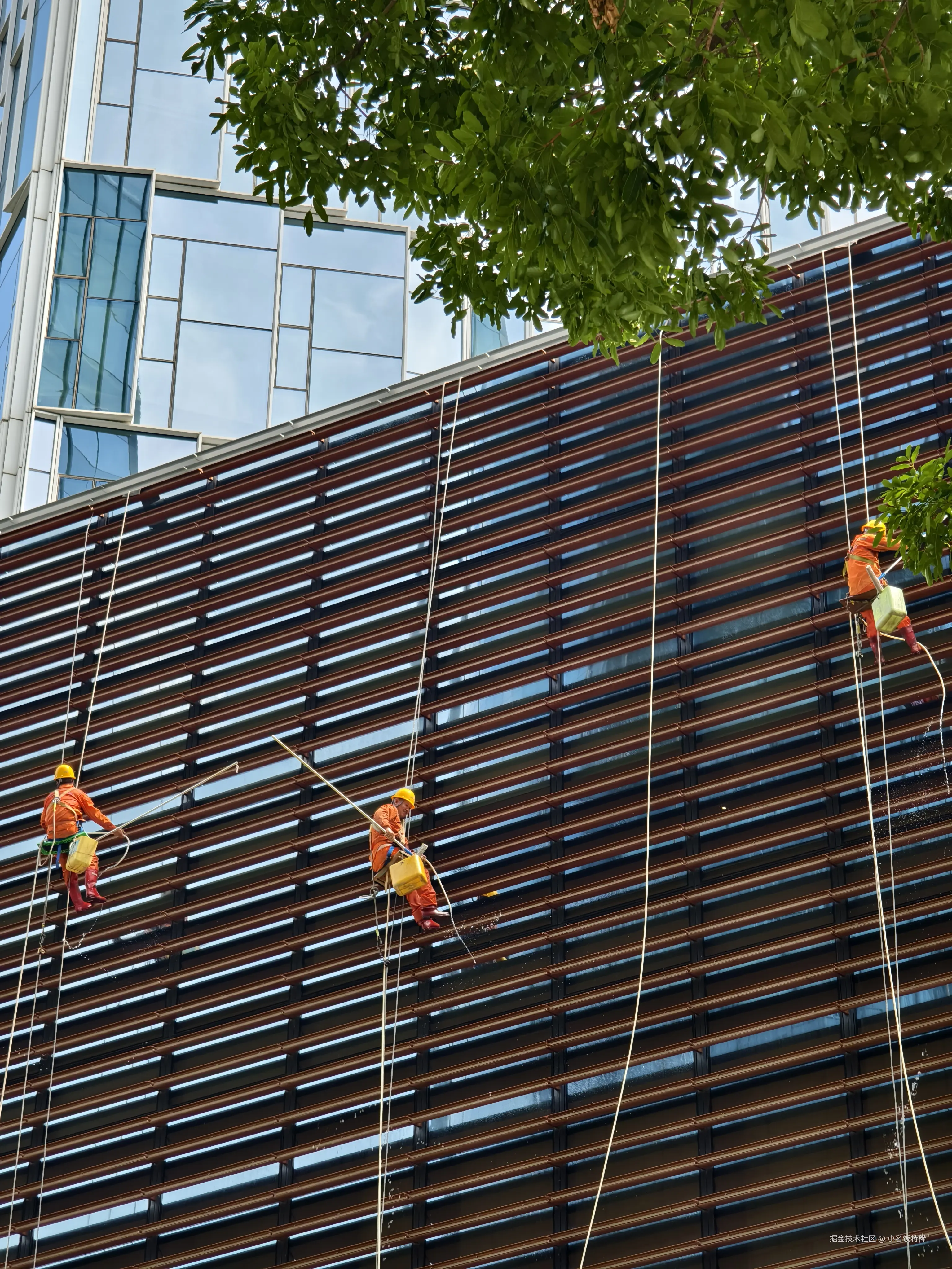 小名饭特稀于2025-07-11 15:03发布的图片