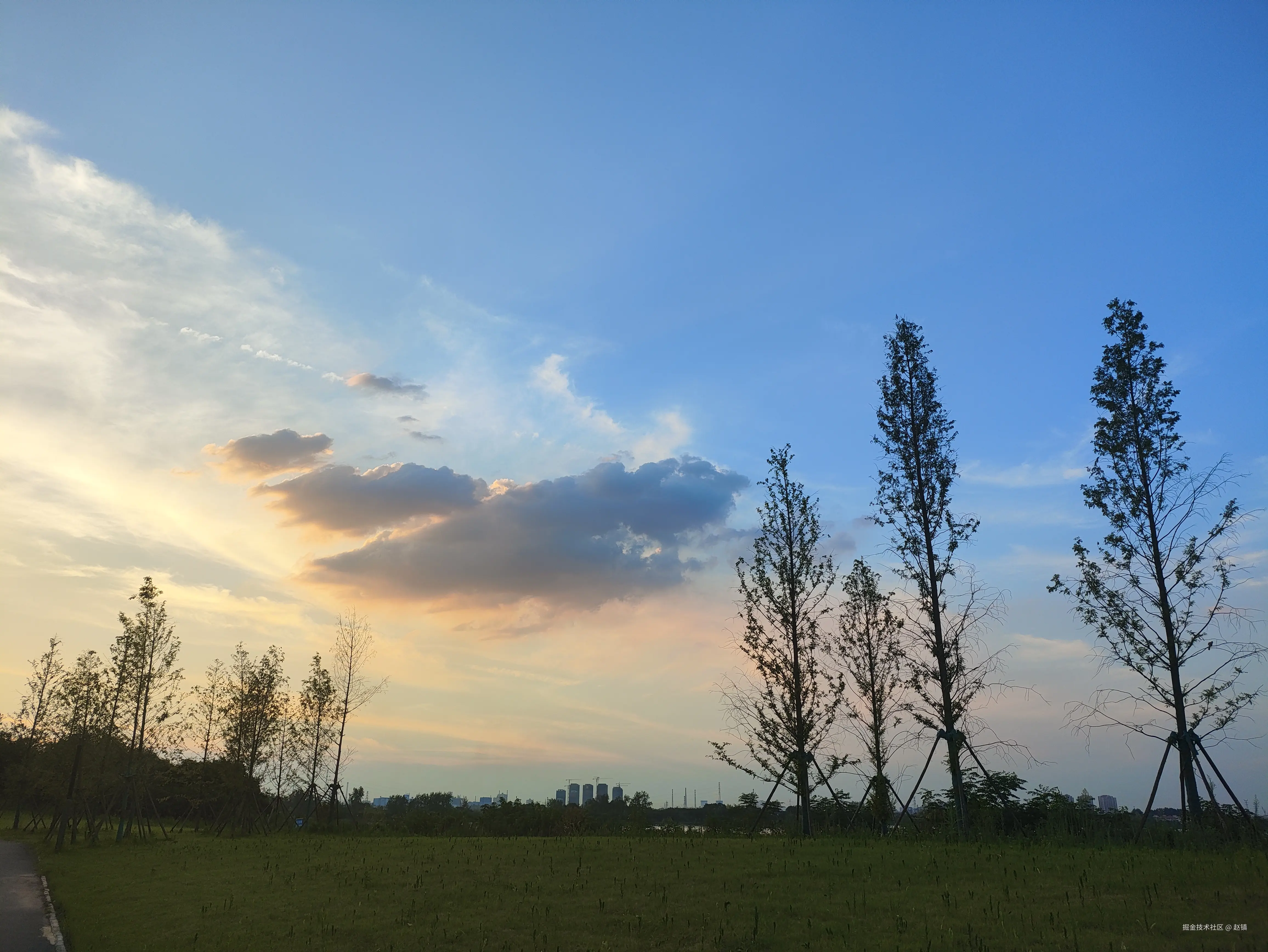 赵镇于2024-07-23 21:47发布的图片