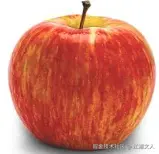 江湖文人于2026-01-16 09:32发布的图片