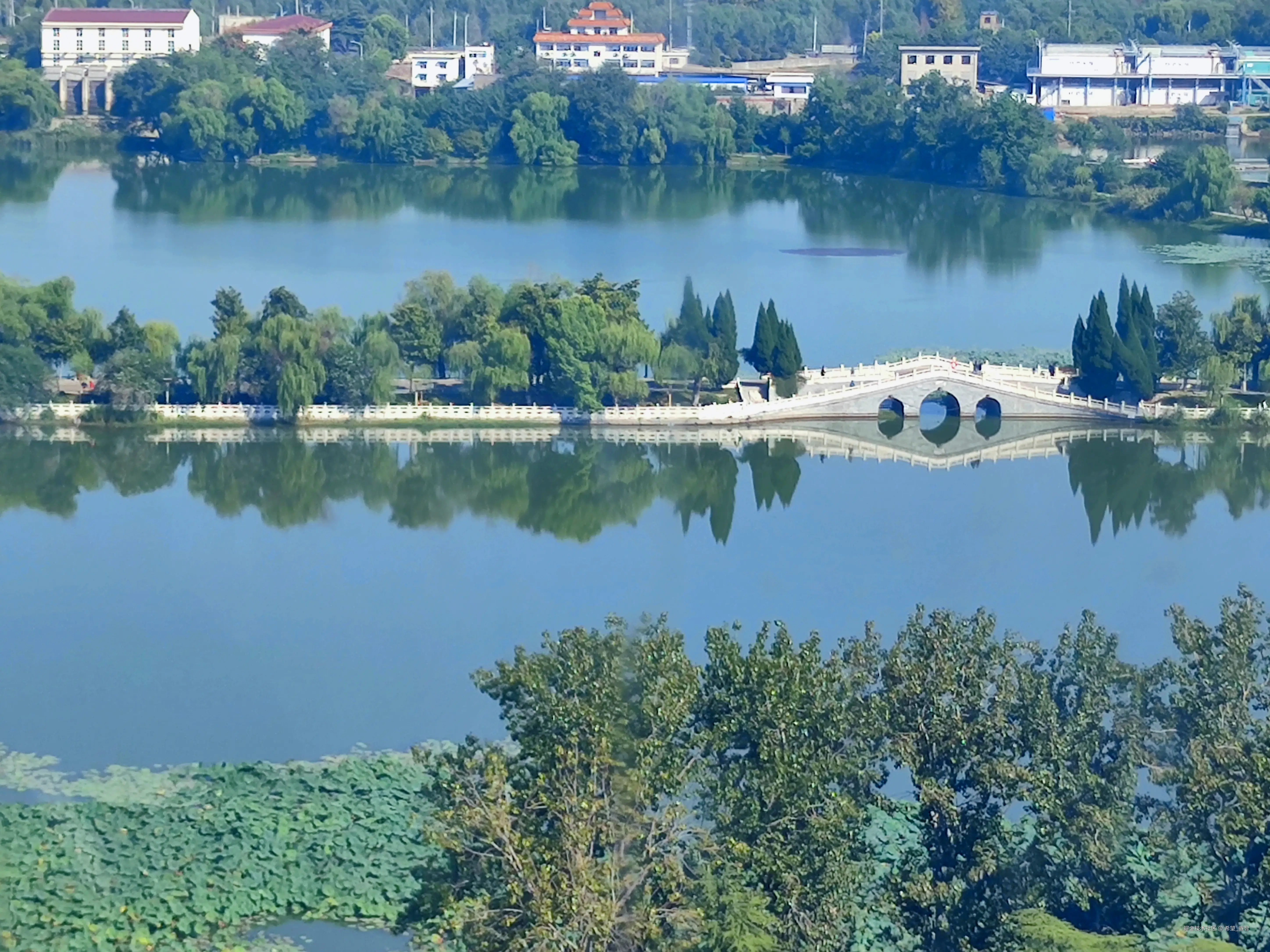 希望_睿智于2024-10-03 21:52发布的图片