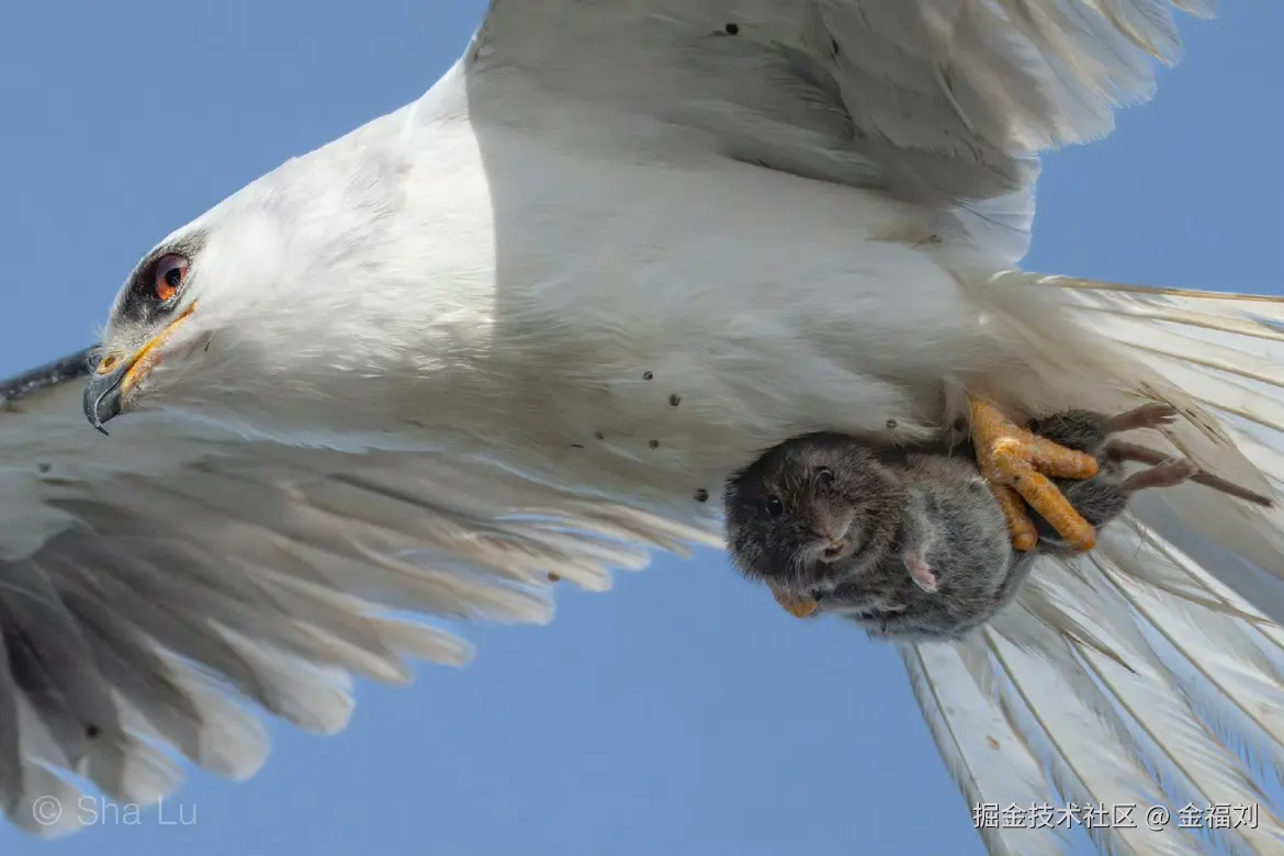金福刘于2025-07-23 09:51发布的图片