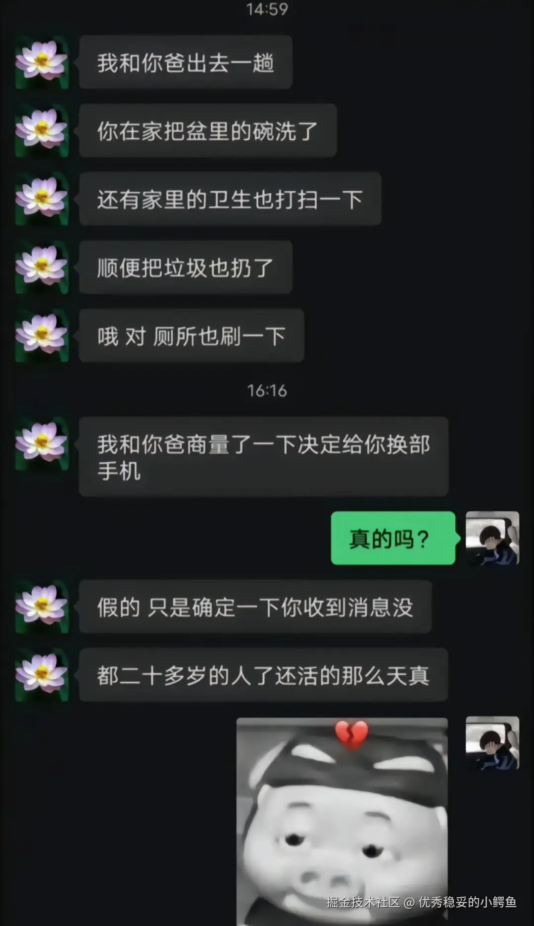 优秀稳妥的小鳄鱼于2025-11-04 18:58发布的图片