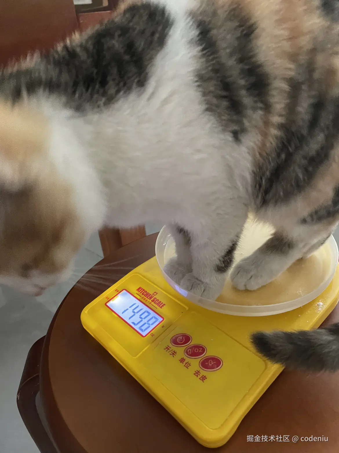 codeniu于2026-02-12 16:04发布的图片