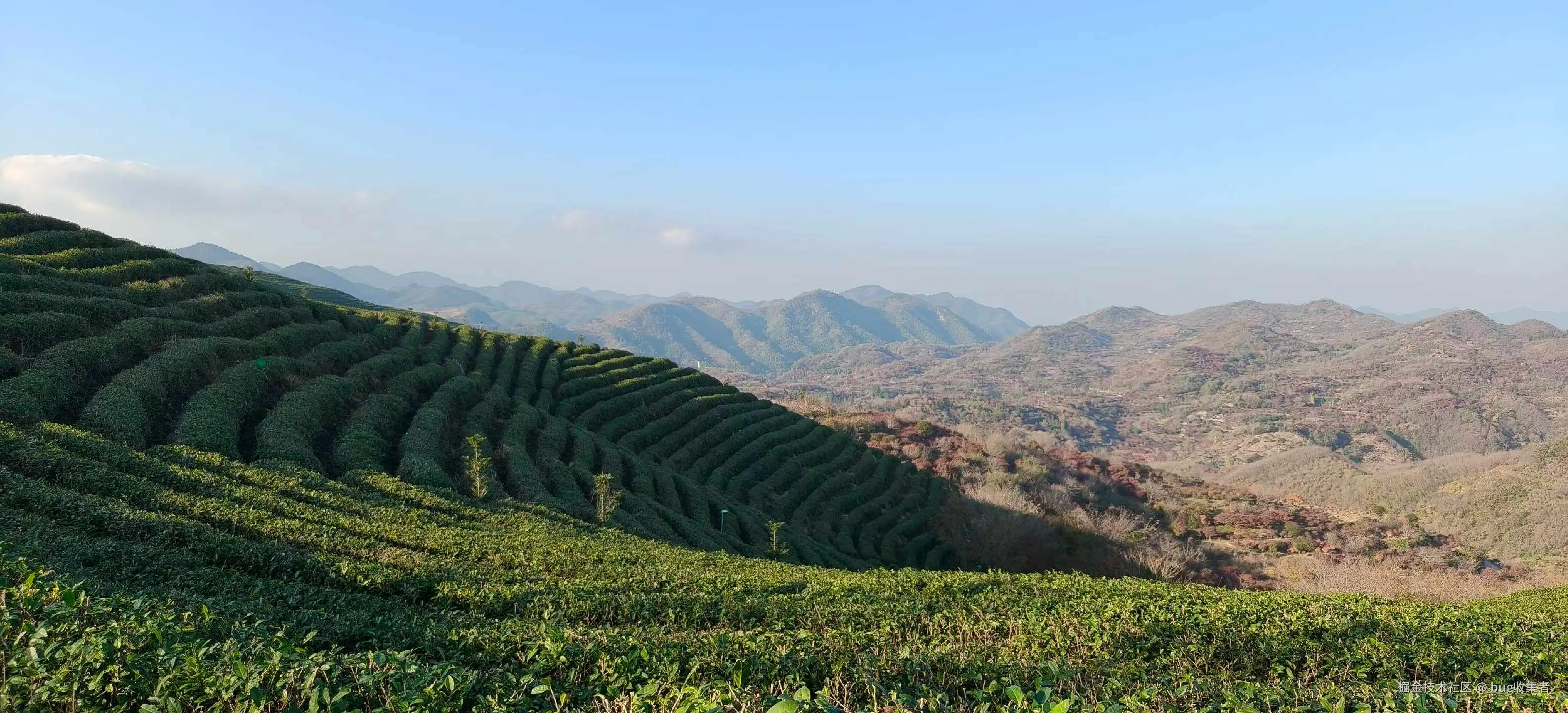 bug收集者于2025-11-17 13:02发布的图片