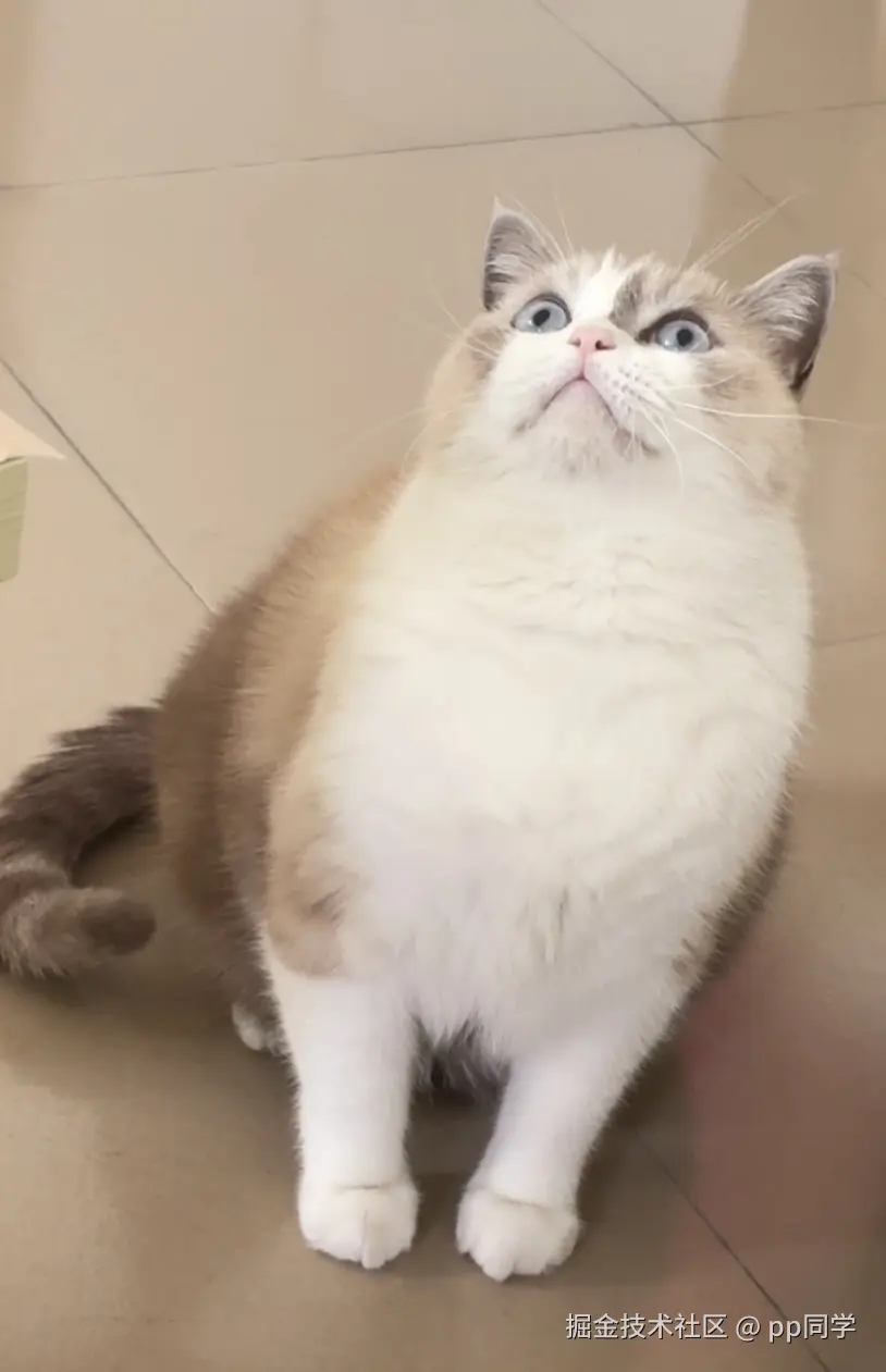 pp同学于2025-12-11 13:25发布的图片
