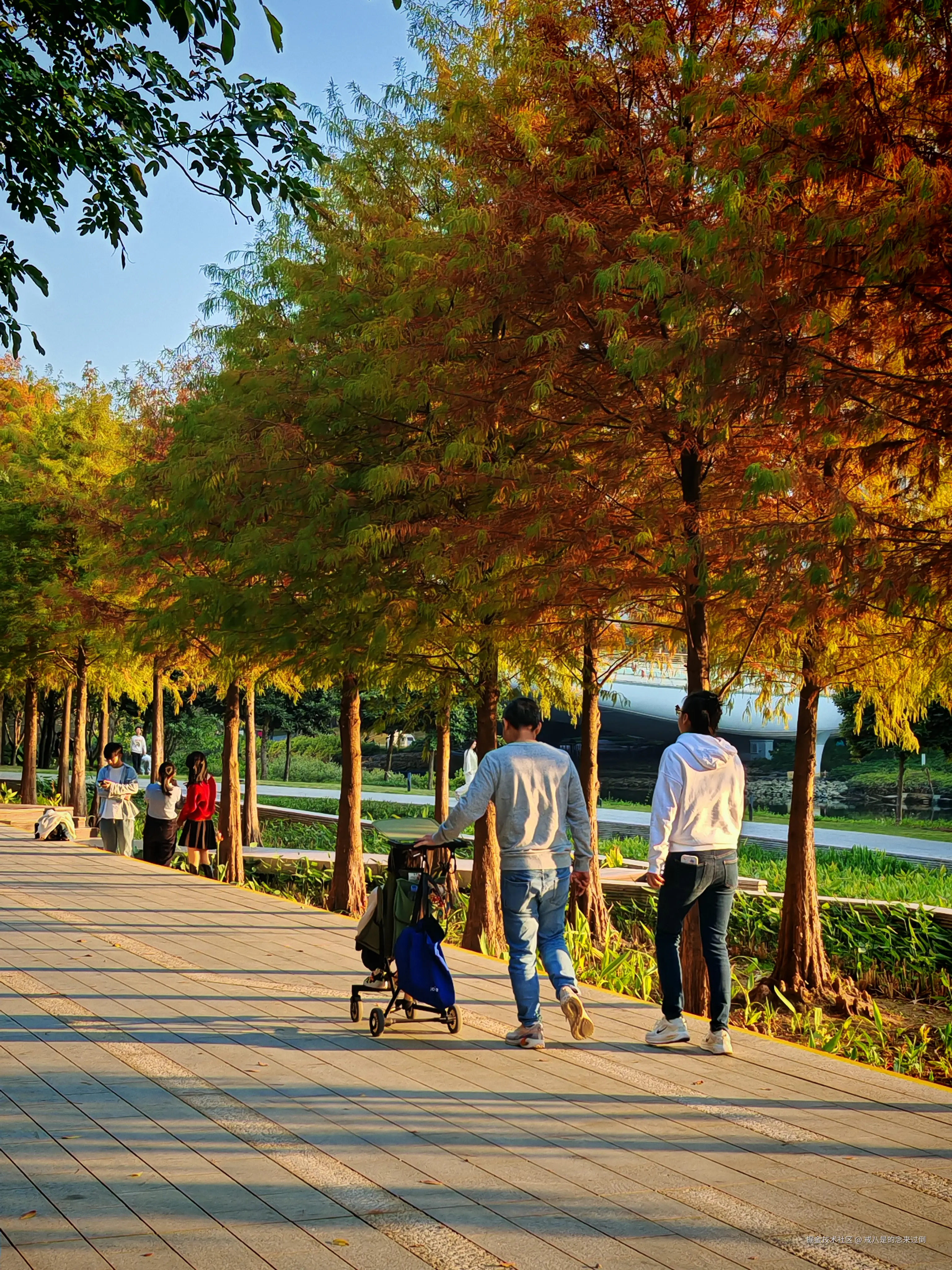 戒八是的念来过倒于2026-01-18 19:26发布的图片