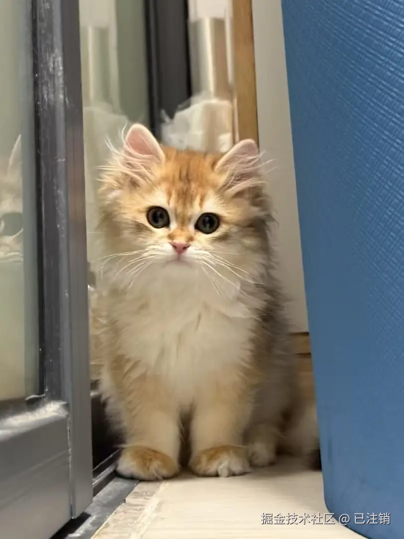 已注销于2025-03-11 11:23发布的图片