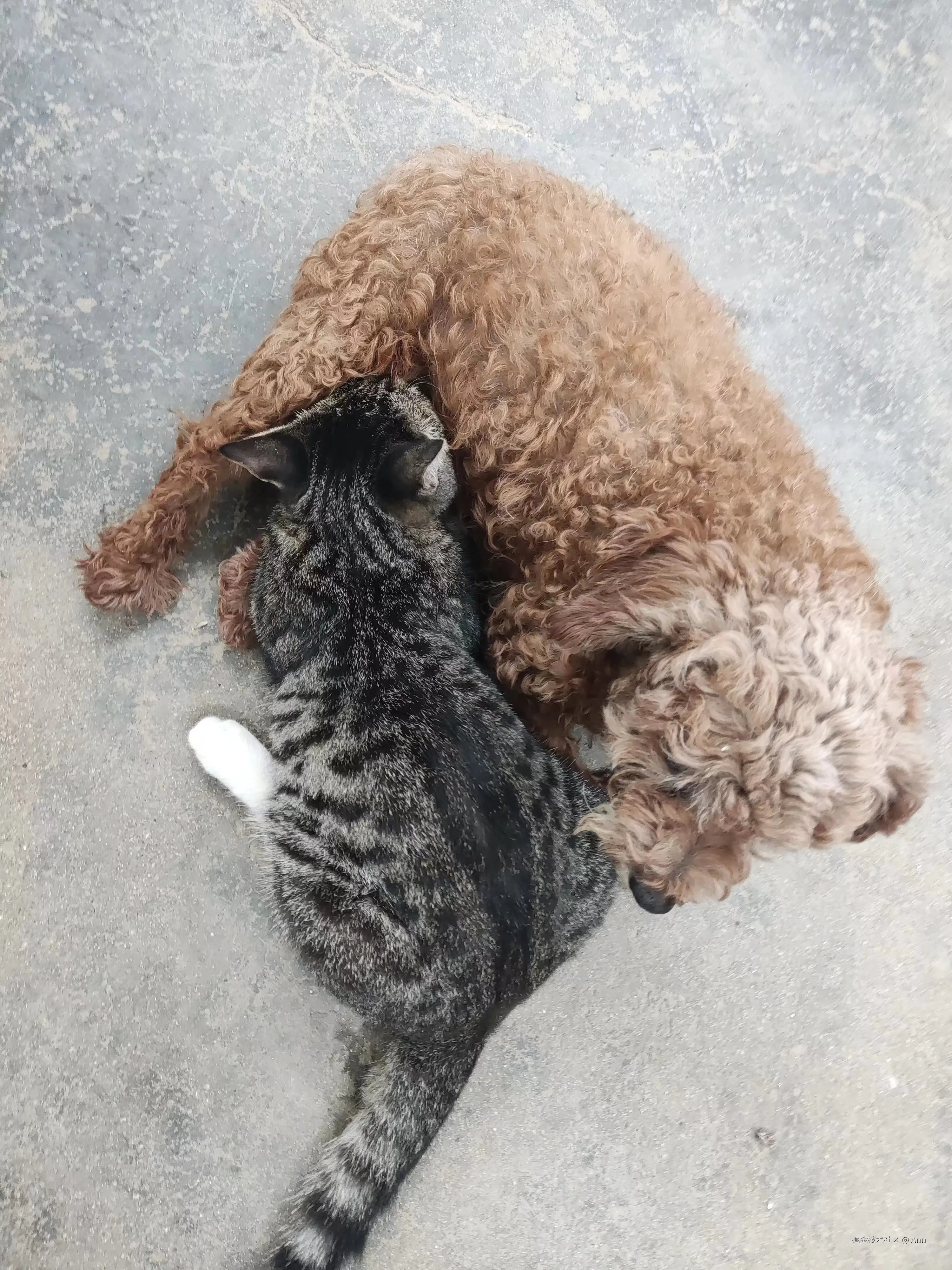 Ann于2024-11-12 16:19发布的图片