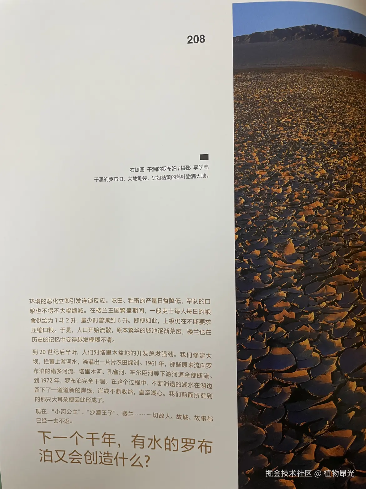 植物昂光于2026-03-23 20:07发布的图片