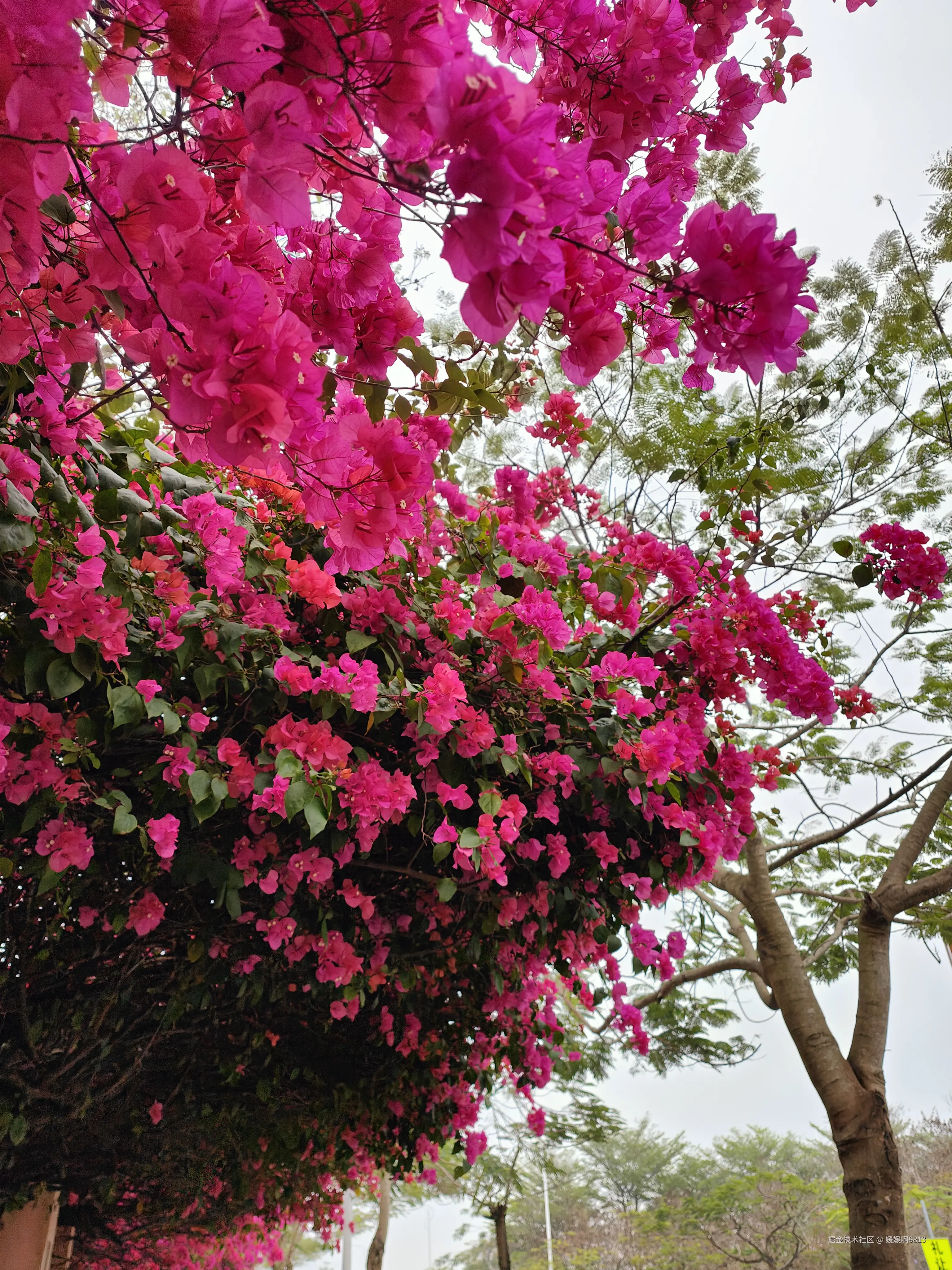 媛媛啊9813于2026-03-28 23:19发布的图片