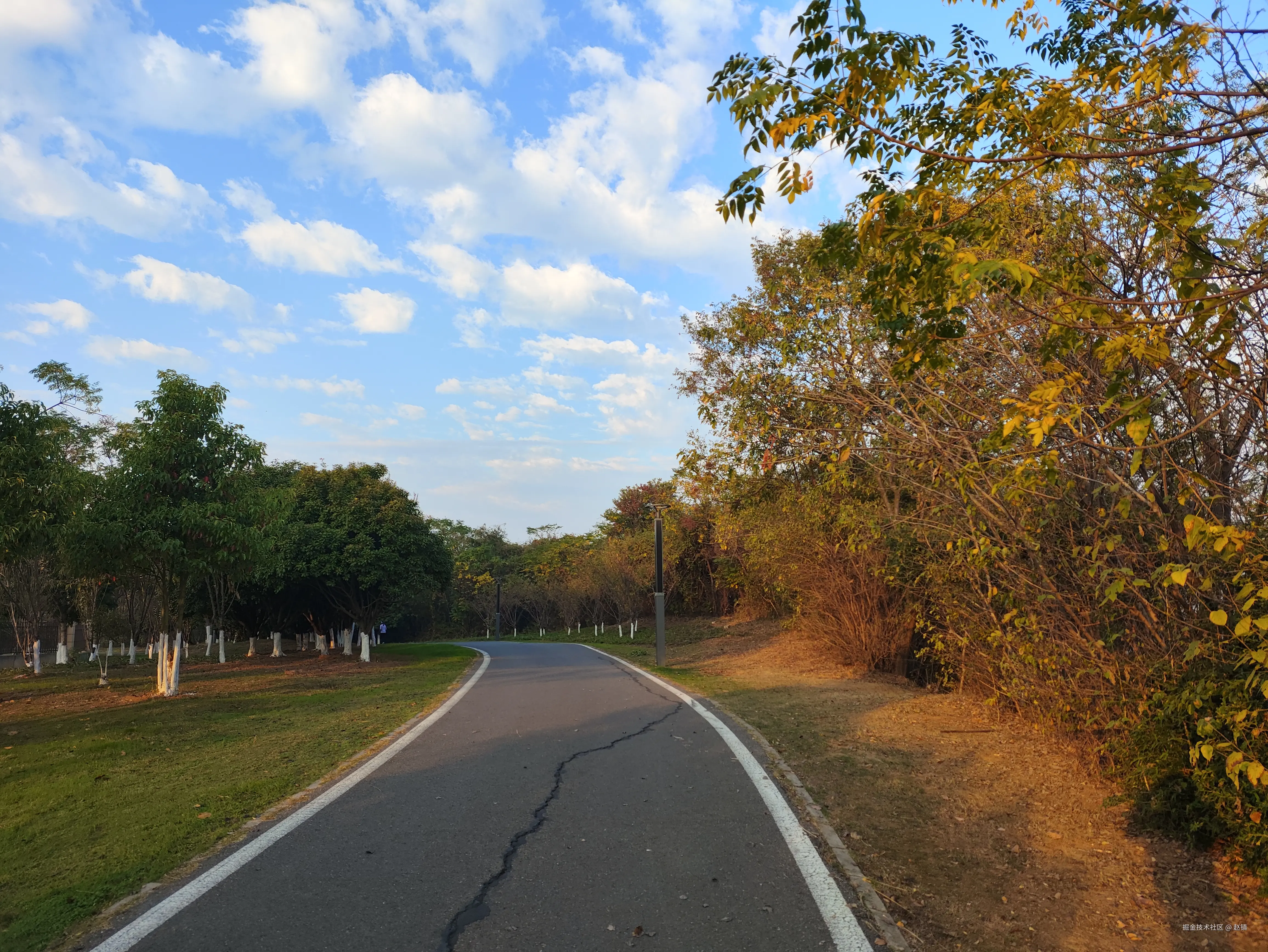 赵镇于2024-11-13 09:01发布的图片