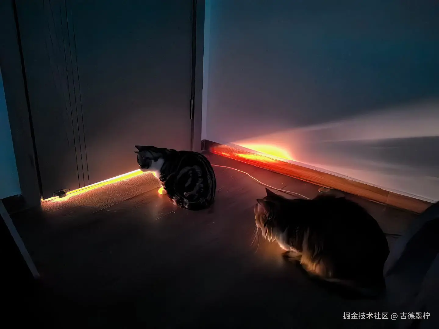 古德墨柠于2026-02-24 16:33发布的图片